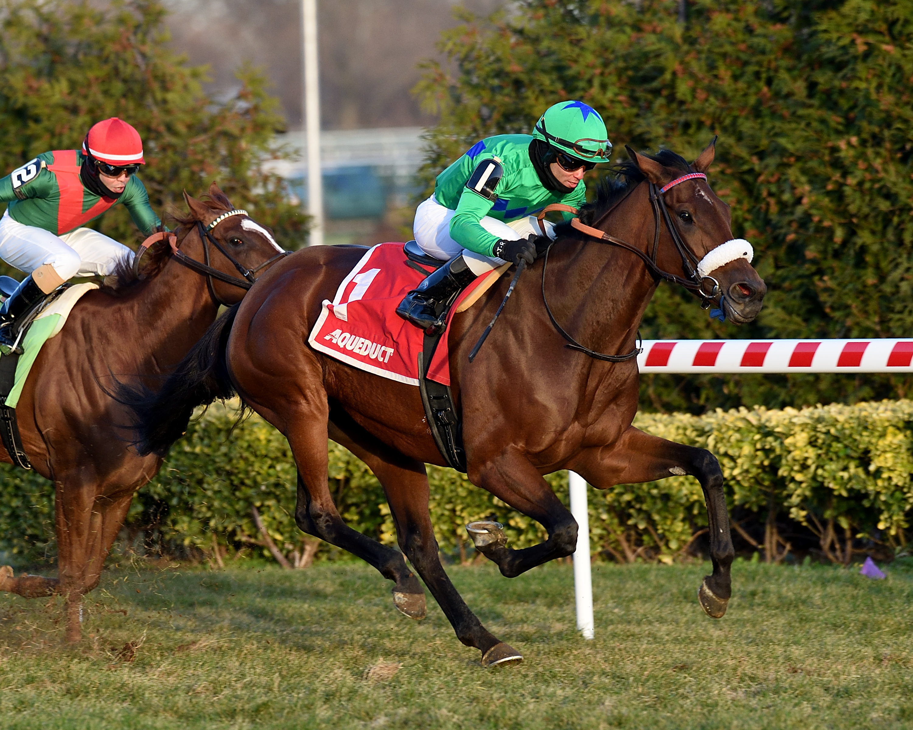 Si Que Es Buena wins the 2019 Long Island Stakes