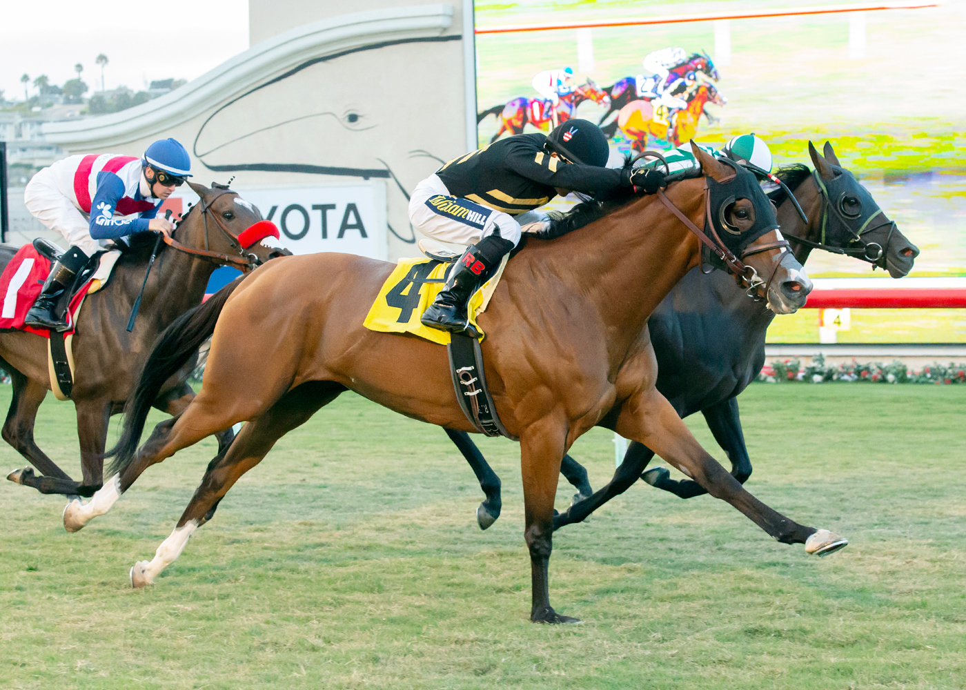 Siberian Iris wins the 2019 CTT and TOC Stakes at Del Mar