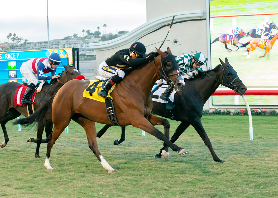 Siberian Iris (No. 4) wins the 2019 CTT and TOC Stakes at Del Mar