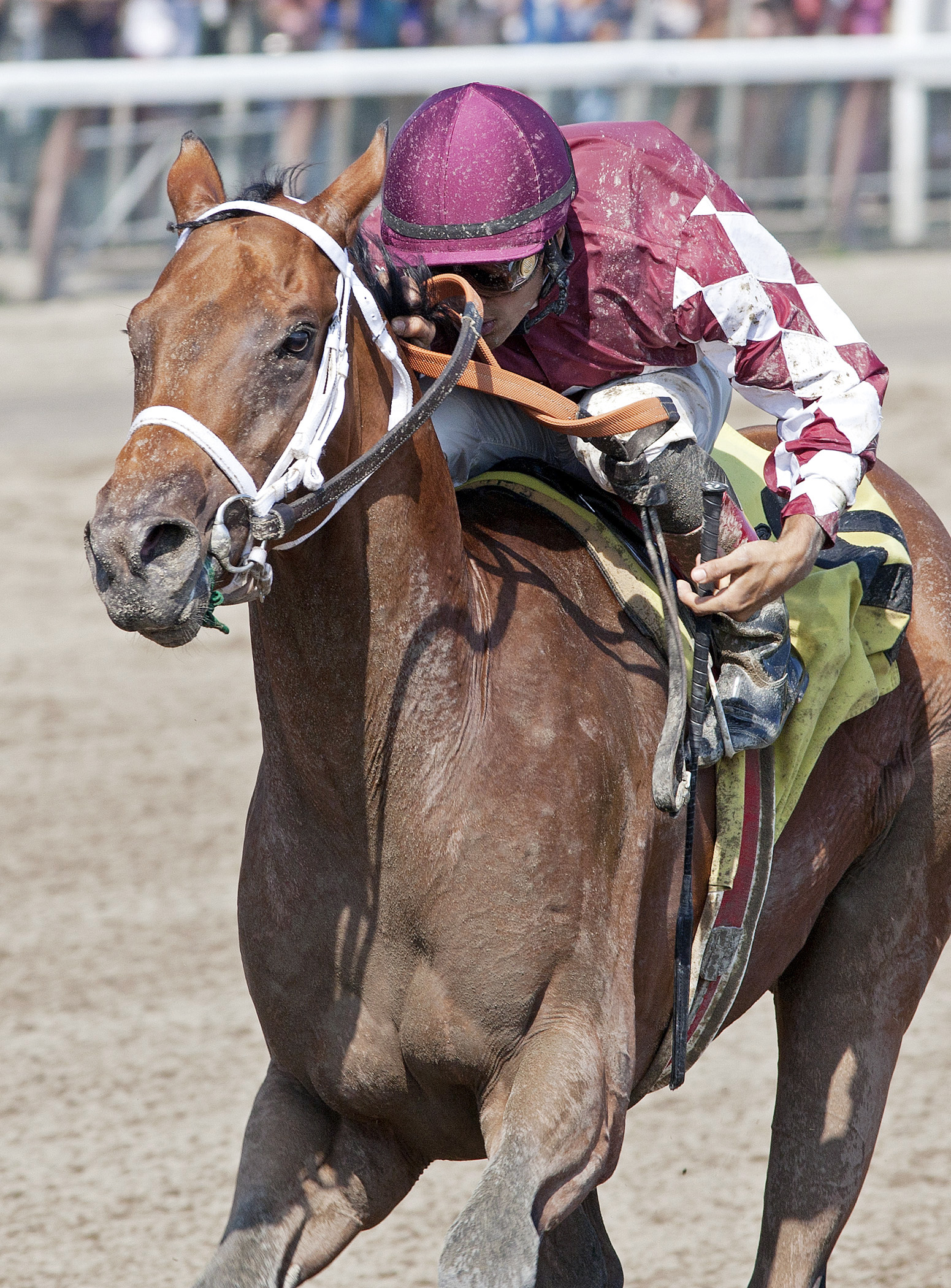 Sidearm wins a maiden race