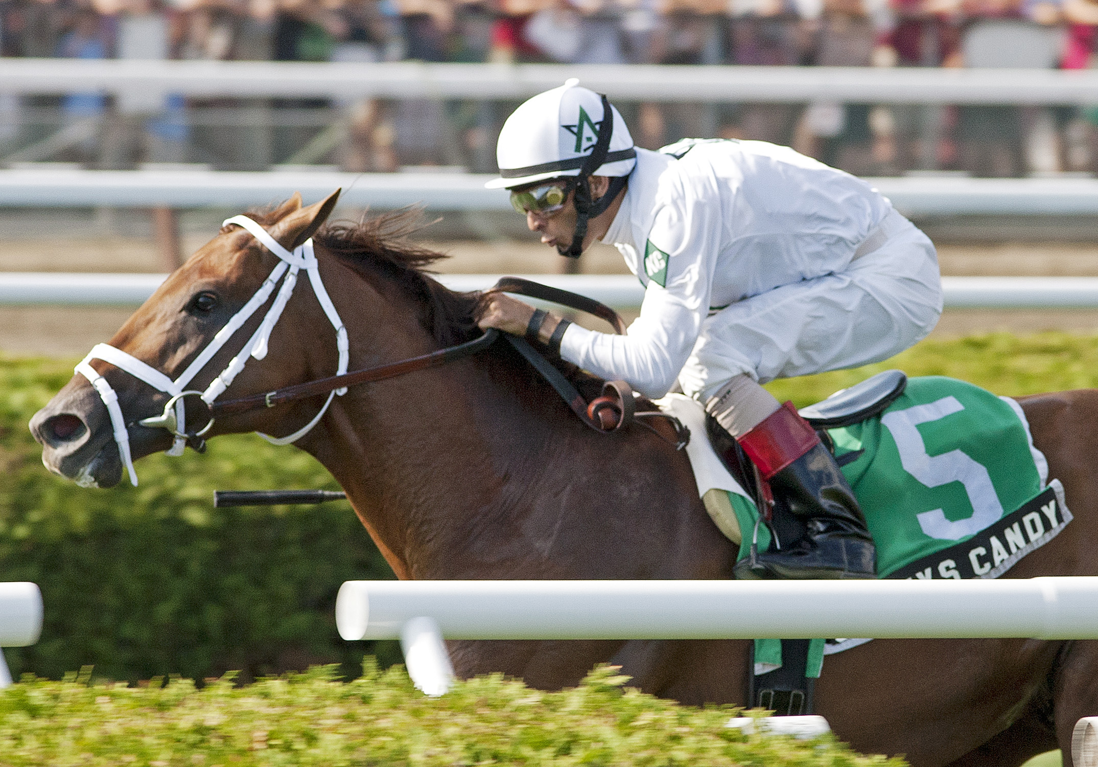 Sidney's Candy/Fourstardave