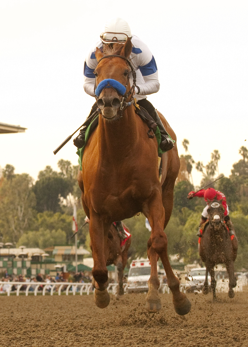 Sidney's Candy/Sir Beaufort