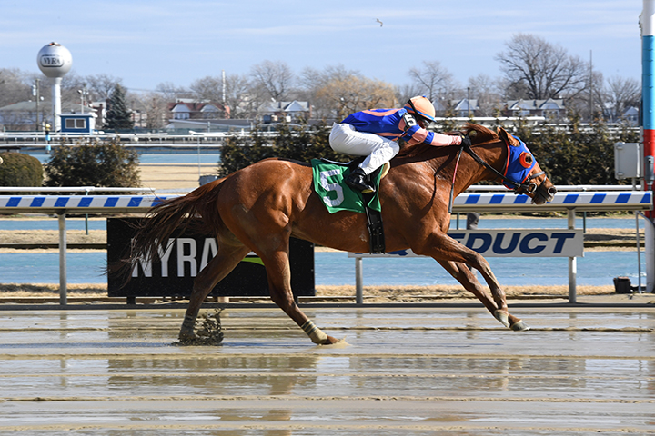 Siena Magic wins a Feb. 8 claiming race