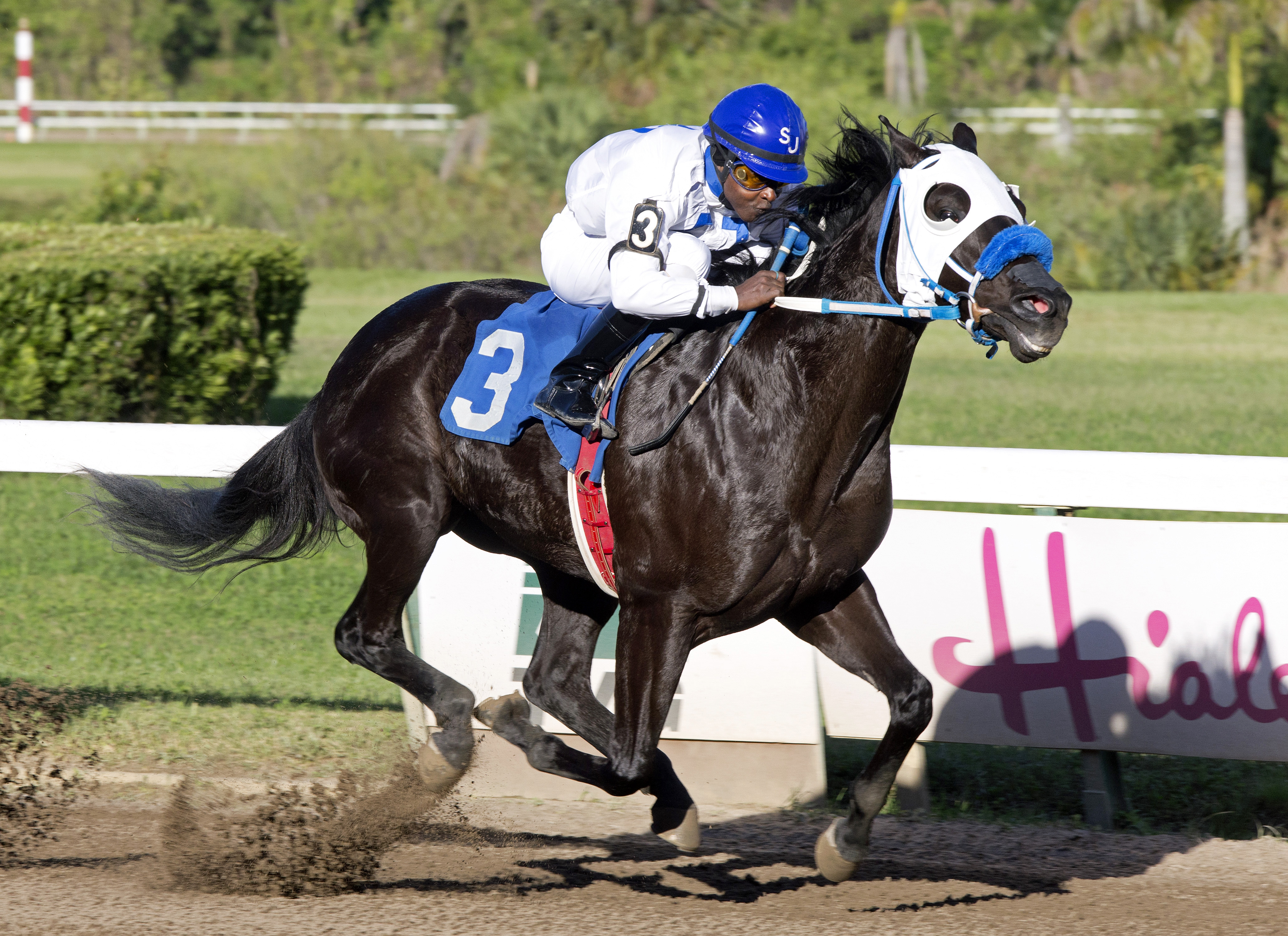 Seize the Win wins the Hialeah Derby
