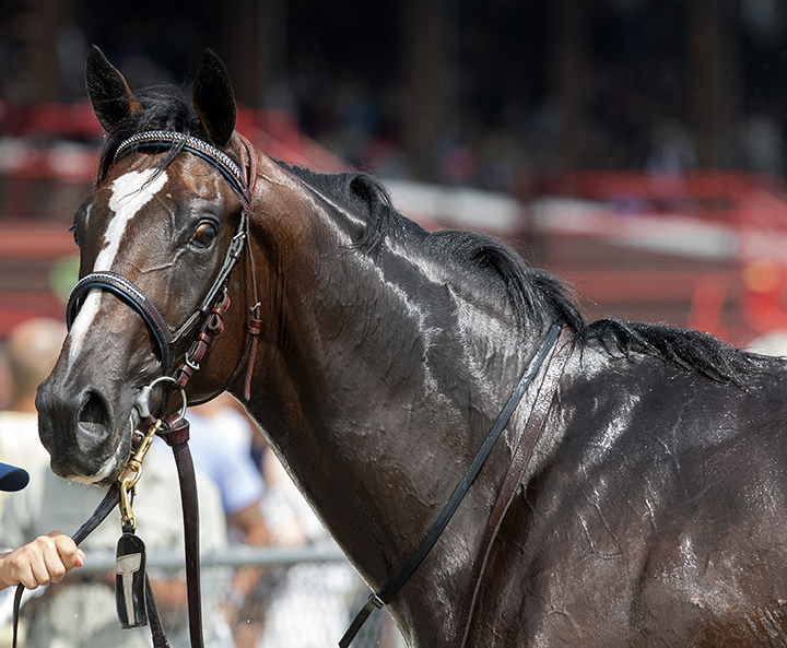 Signalman on Sept. 1