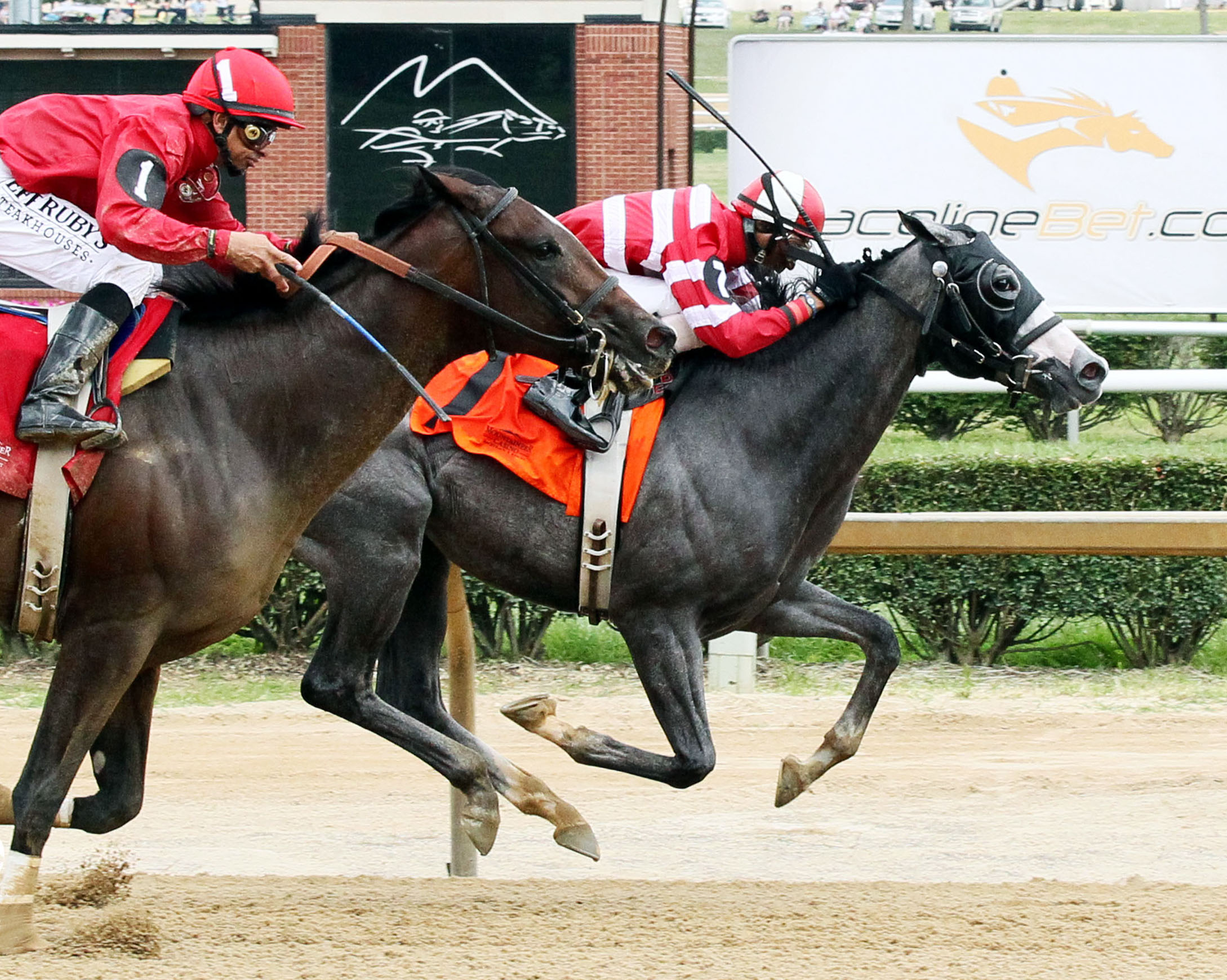 Significant Bling wins the Mountaineer Juvenile Filly Stakes