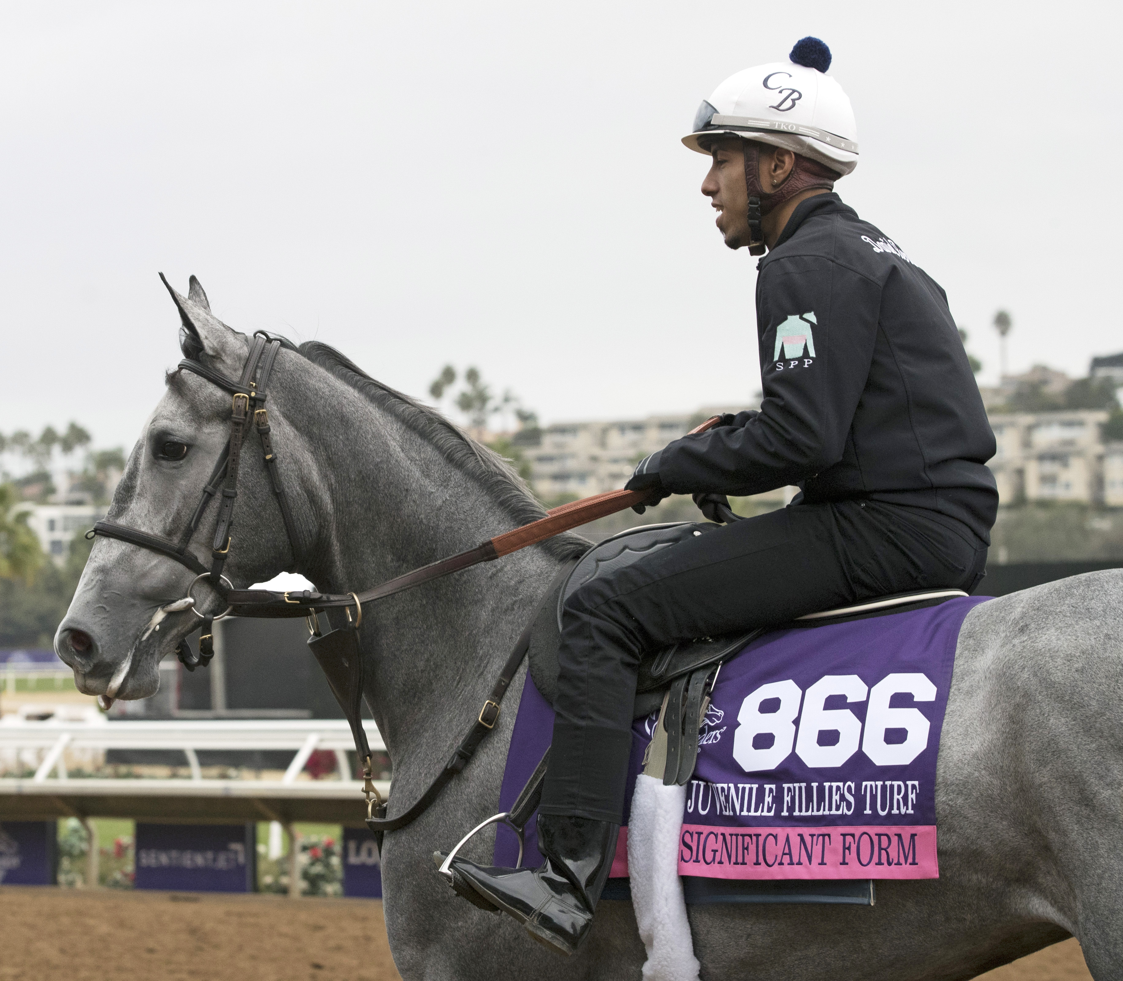 Significant Form at Del Mar on Oct. 30