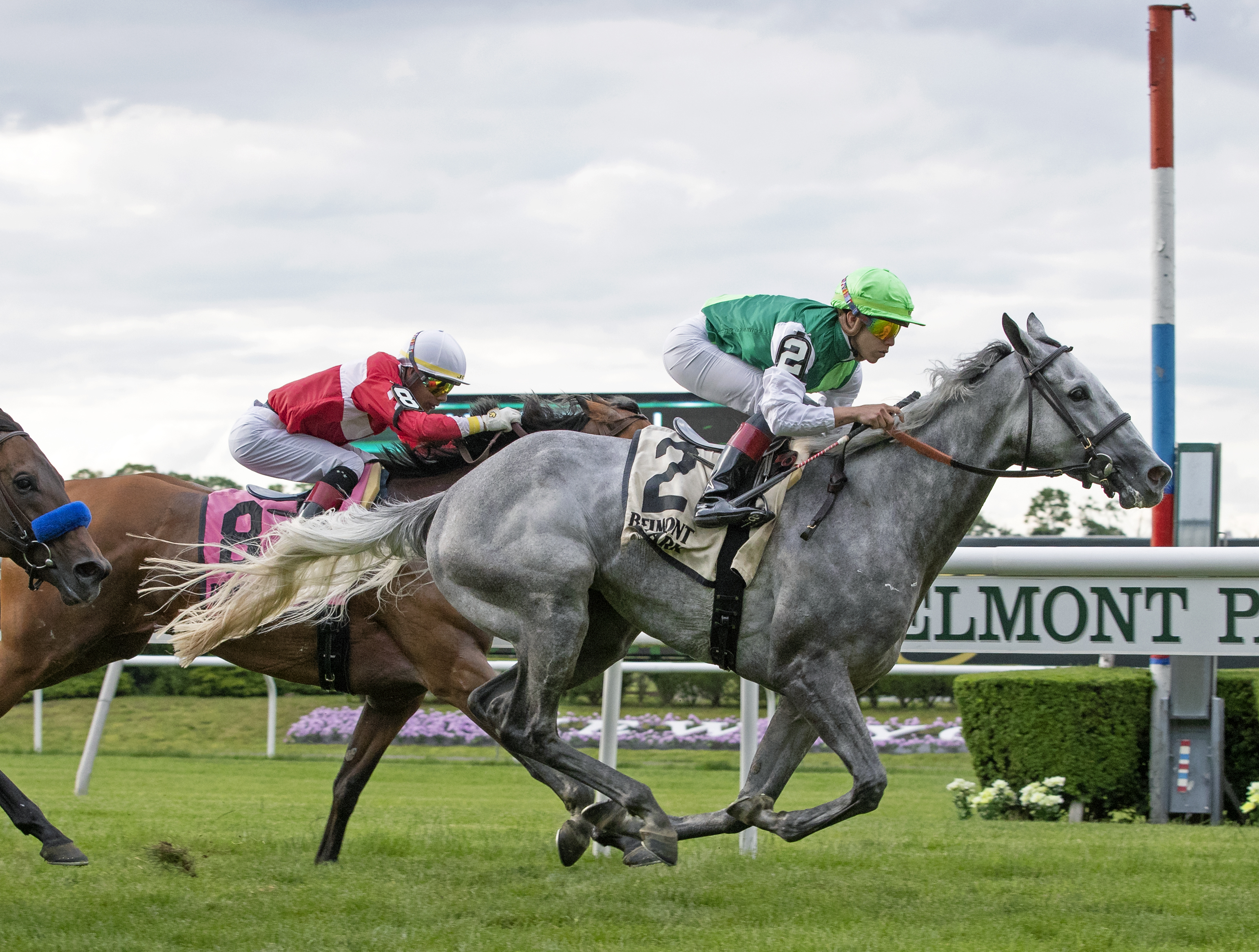 Significant Form wins the 2019 Intercontinental