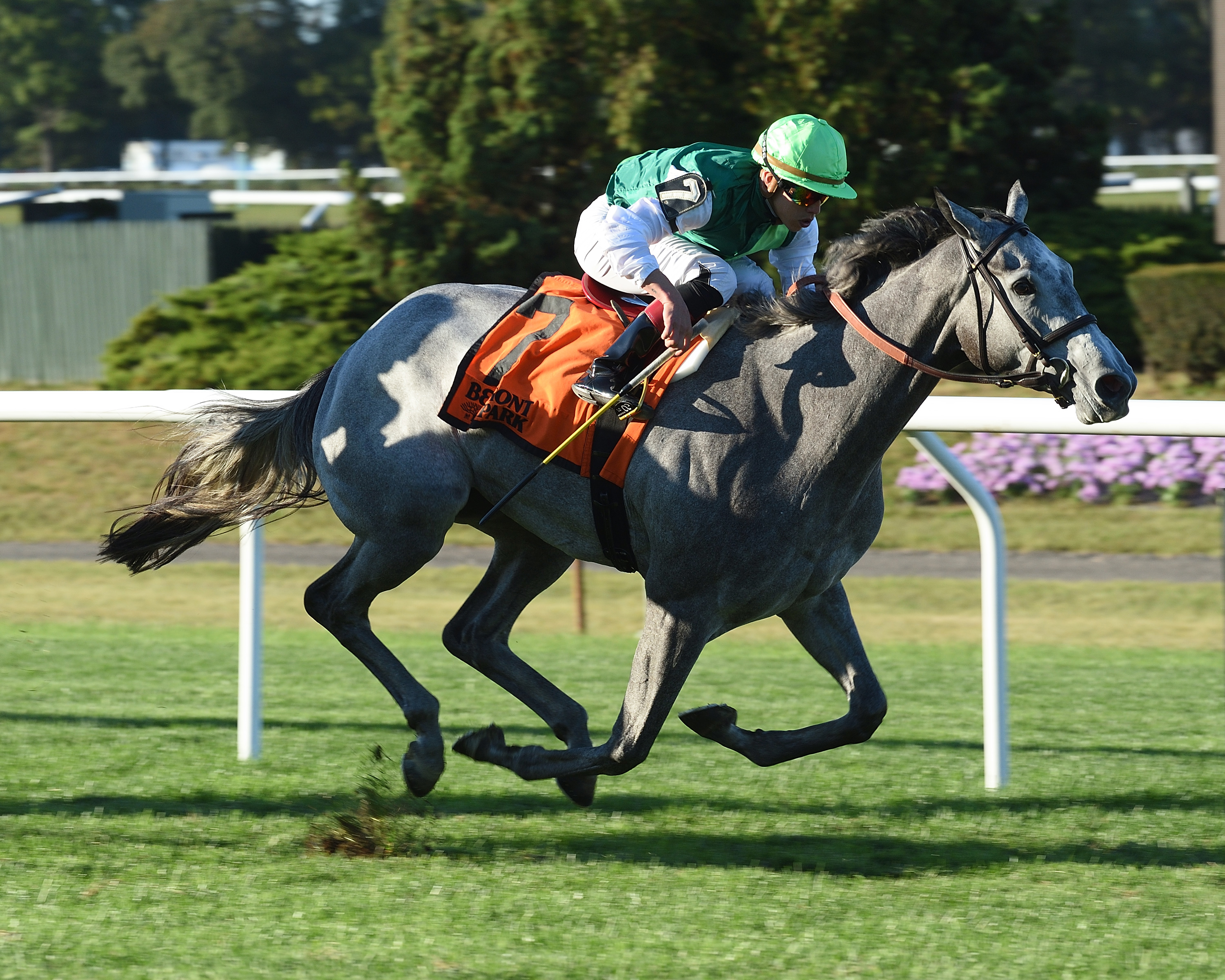 Significant Form wins the 2017 Miss Grillo