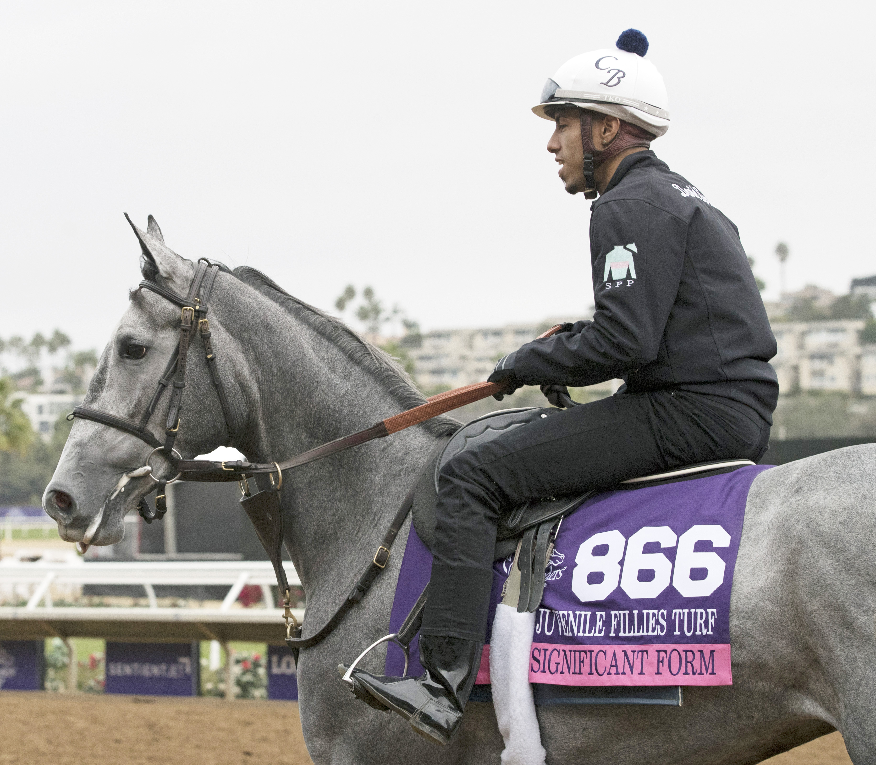 Significant Form at Del Mar for the Breeders Cup
