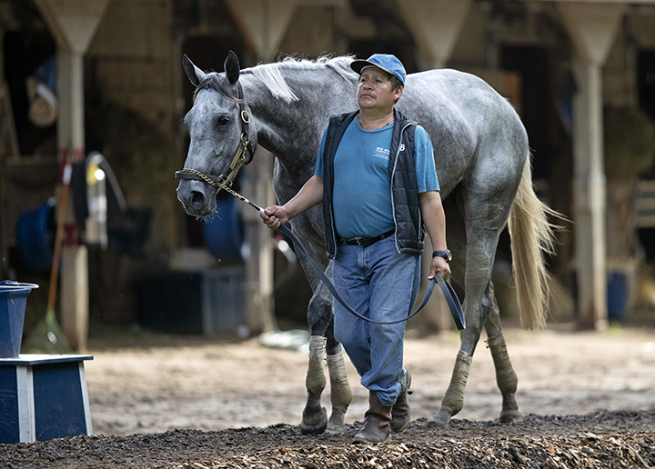 Significant Form at Saratoga Race Course in July 2019