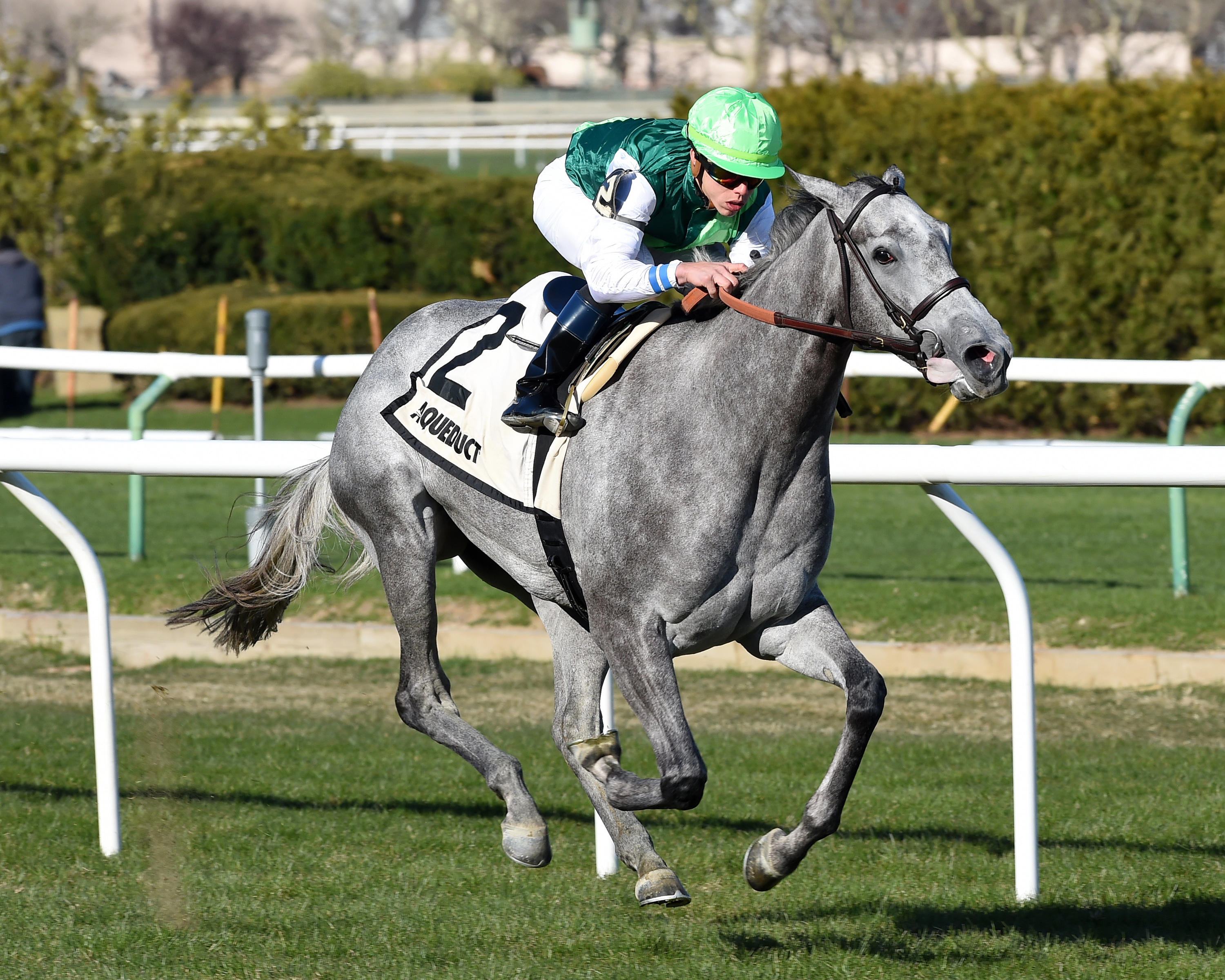 Significant Form wins the 2018 Memories of Silver