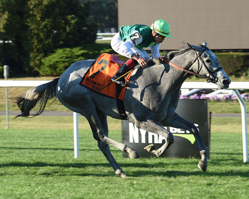 Significant Form wins the 2017 Miss Grillo