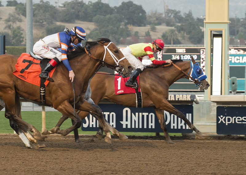 Silent Bird wins the 2017 Midnight Lute Stakes