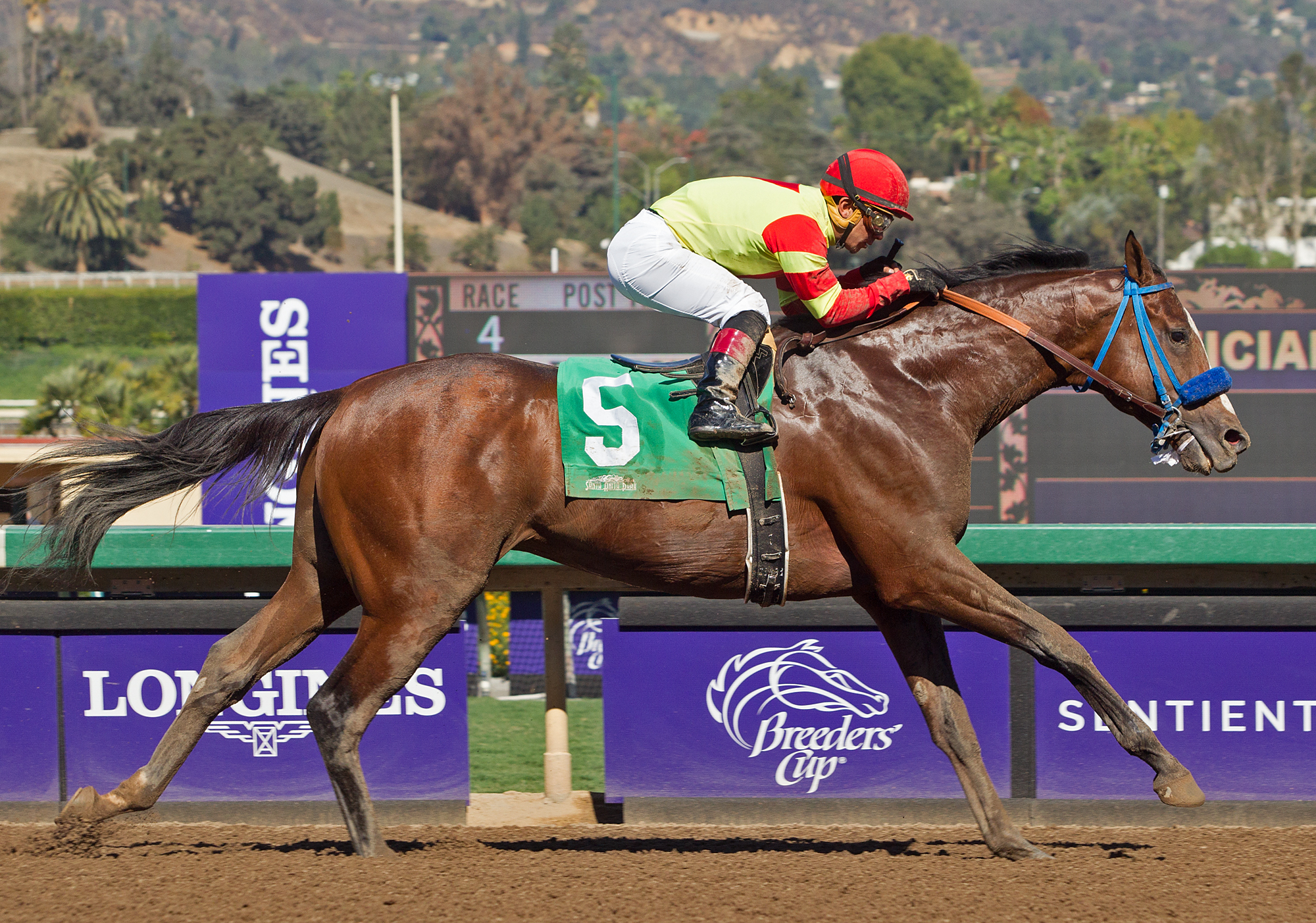 Silent Bird wins the Damascus Stakes