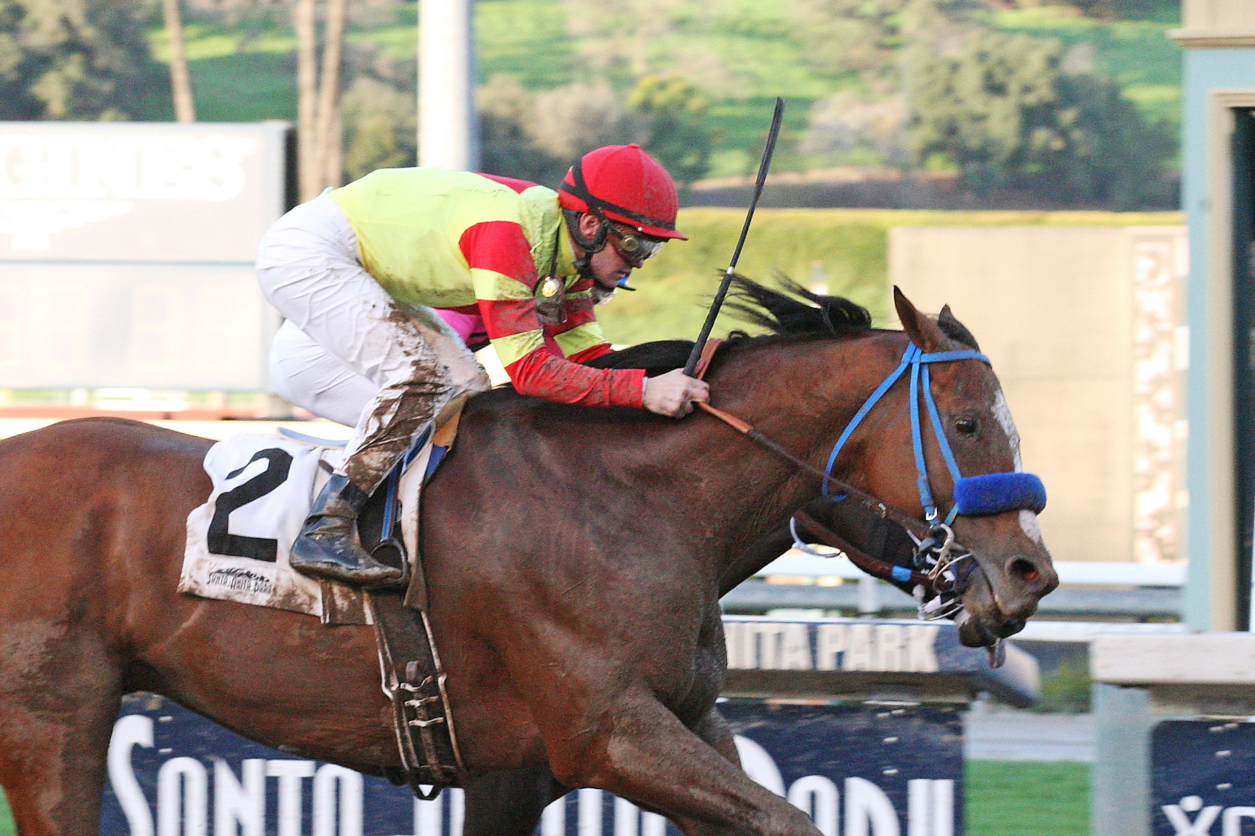 Silent Bird wins a Jan. 6 allowance race