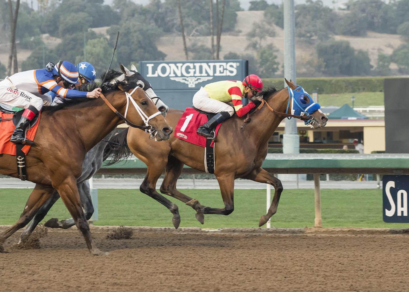 Silent Bird wins the 2017 Midnight Lute