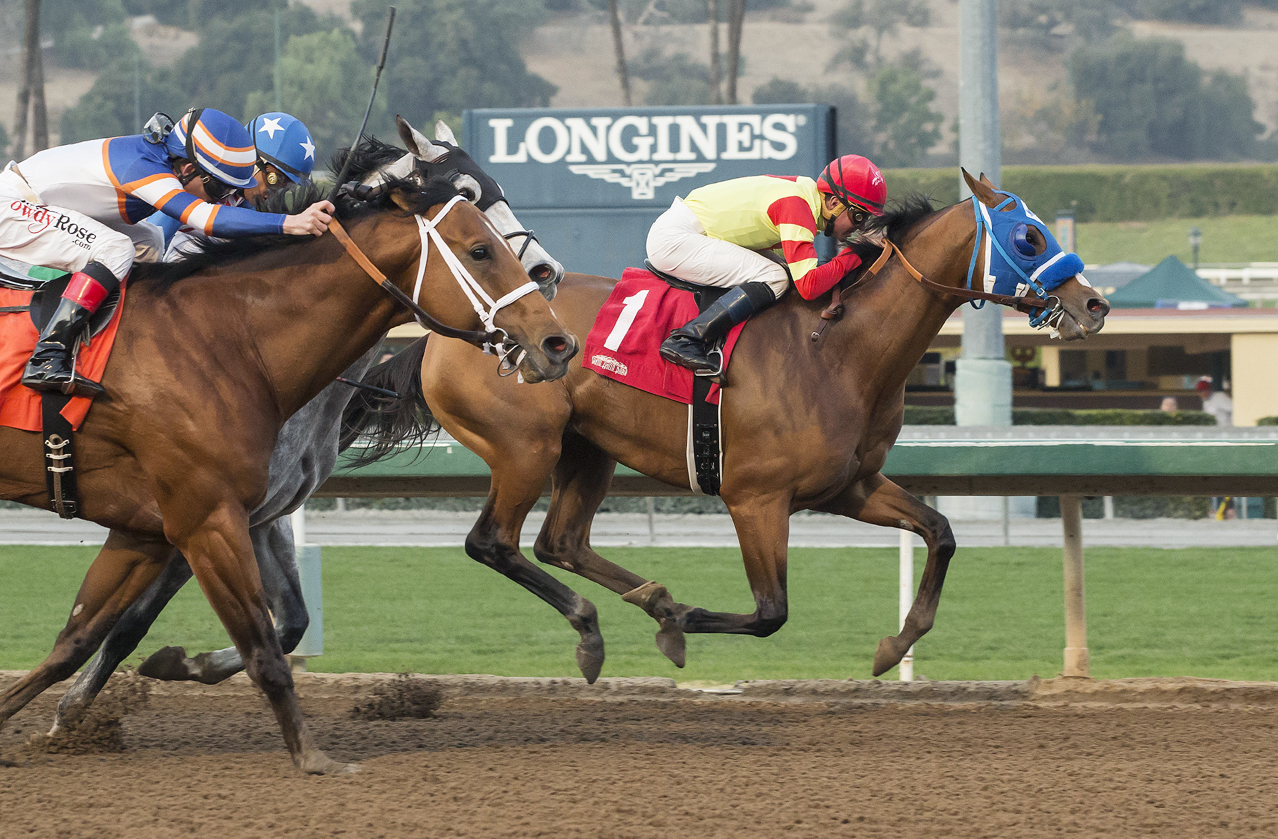 Silent Bird wins the 2017 Midnight Lute