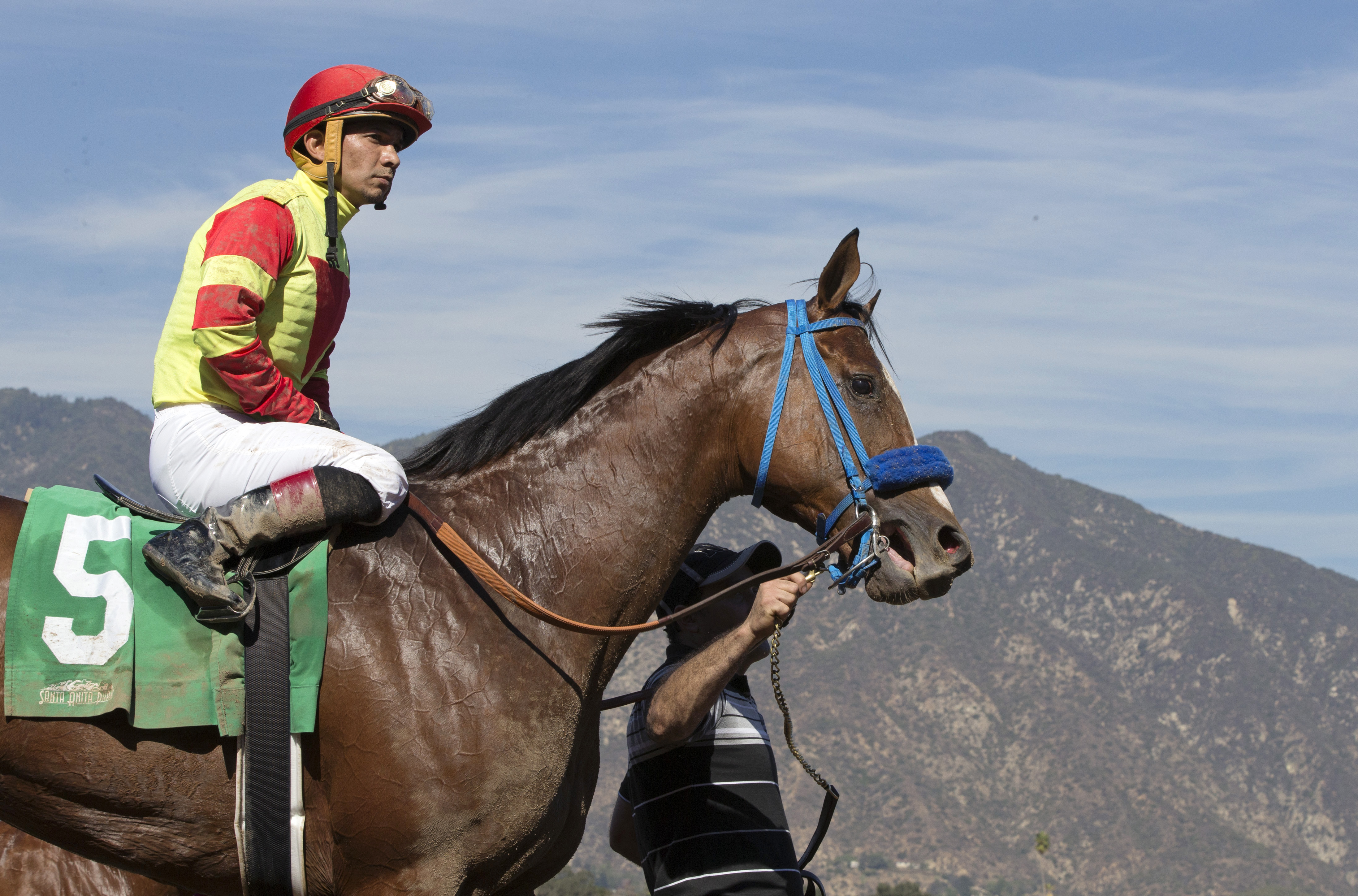 Silent Bird at Santa Anita Park