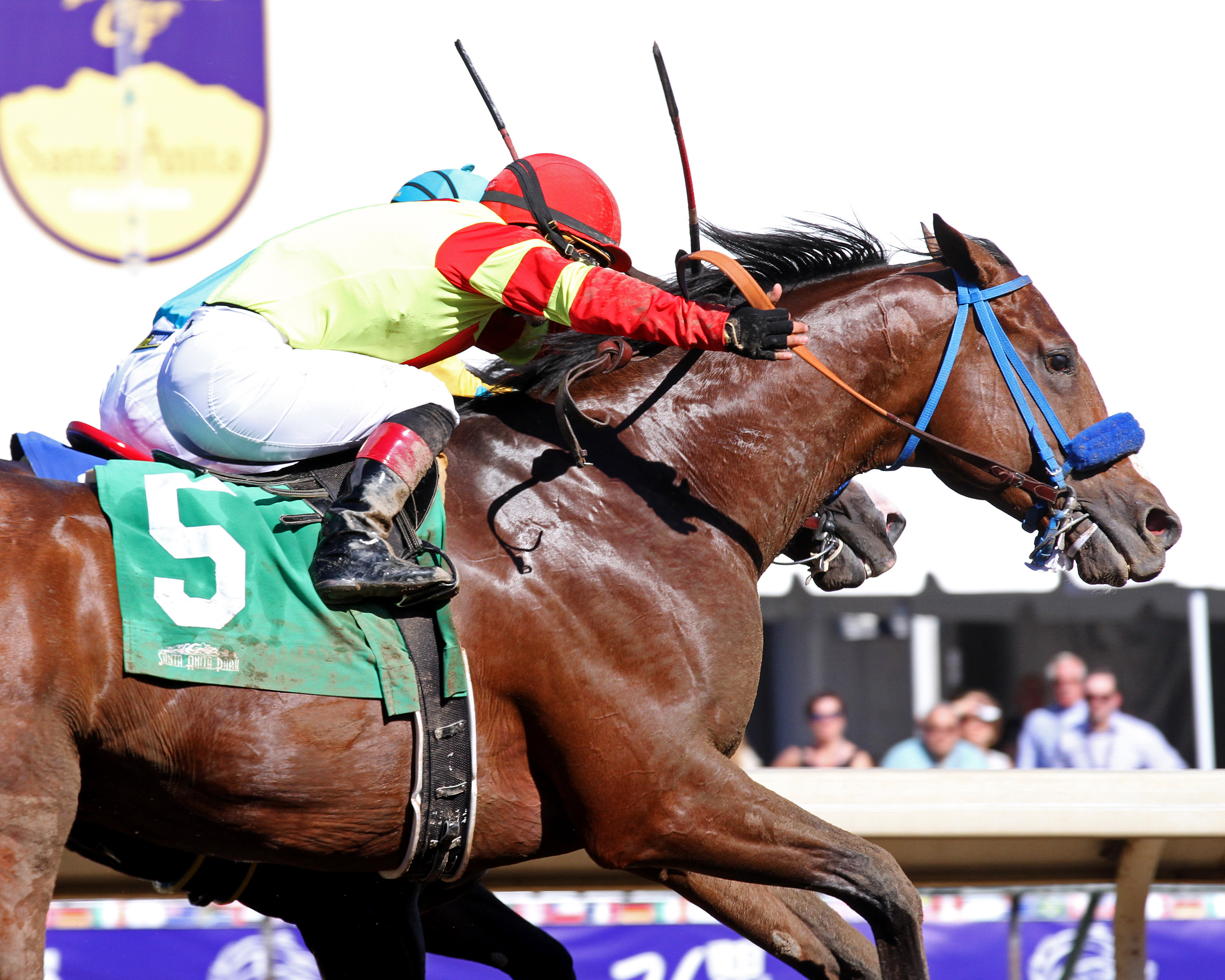 Silent Bird wins the 2016 Damascus Stakes