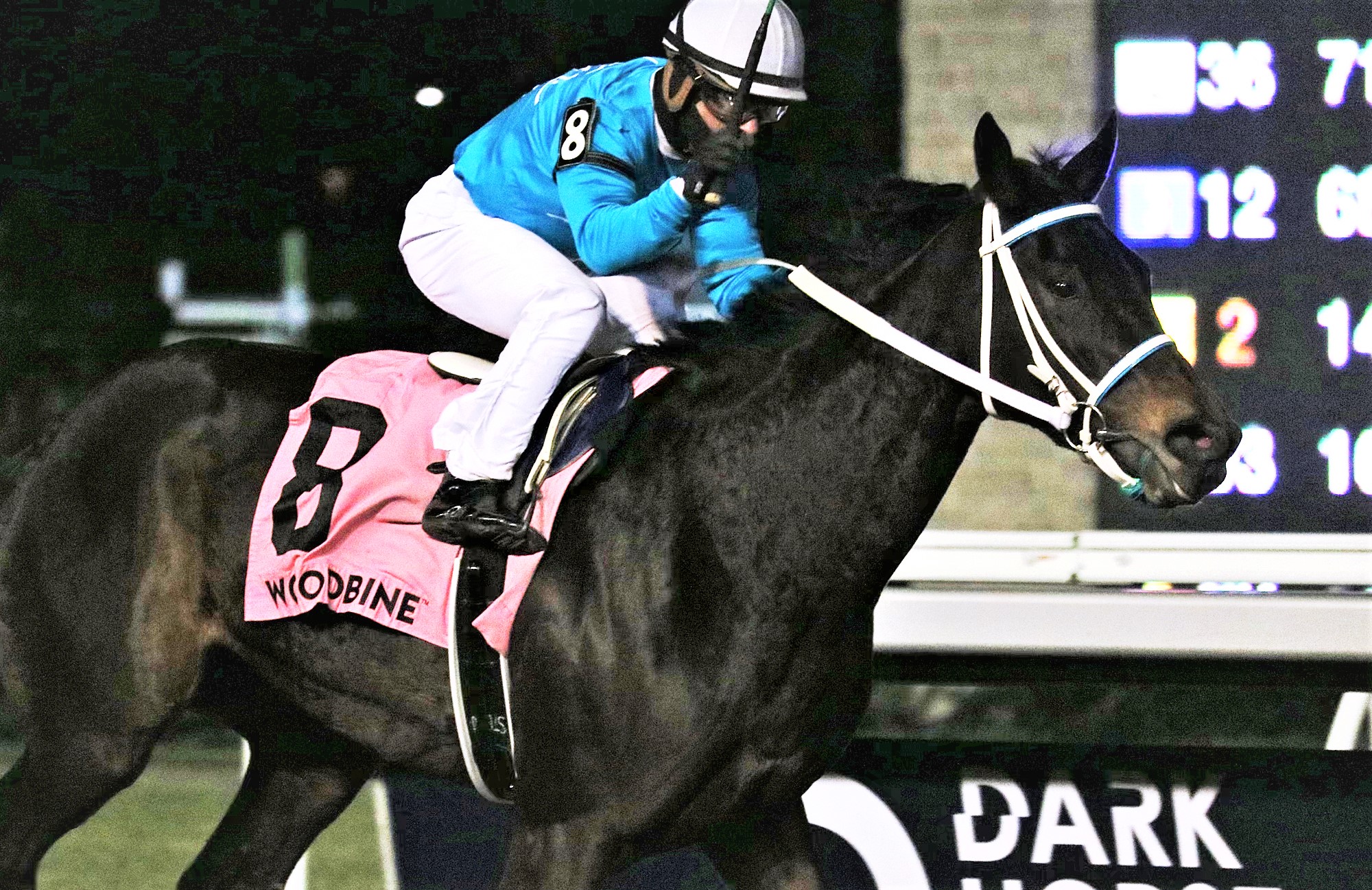 Silent Causeway wins La Prevoyante at Woodbine Dec 14 2022