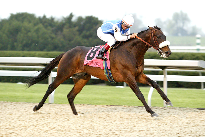 Silent Name wins the 2007 Commonwealth Breeders' Cup at Keeneland