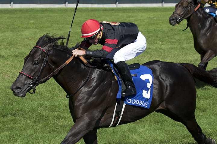 Silent Poet wins the 2018 Vice Regent Stakes at Woodbine