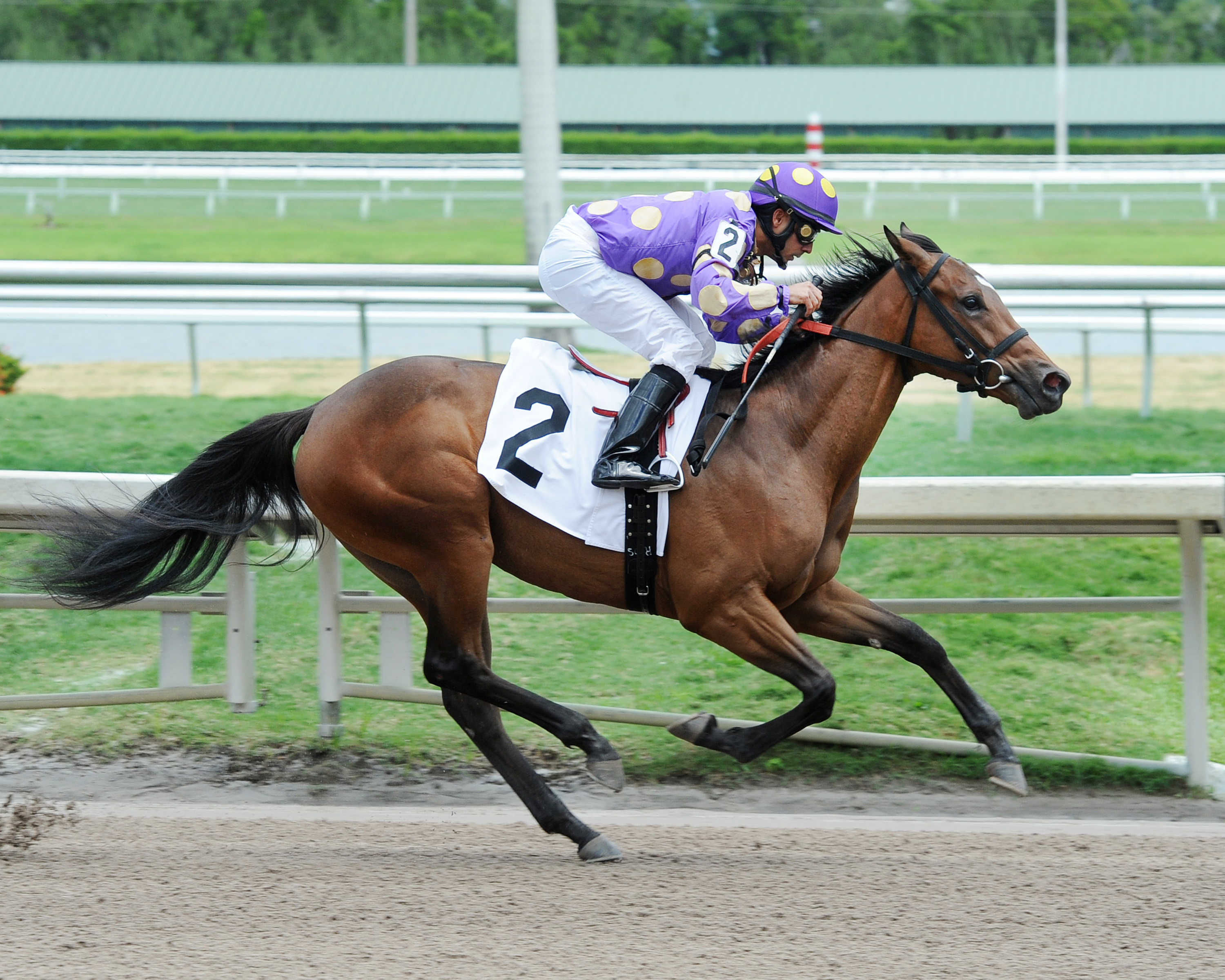 Silent Prayer wins a maiden race