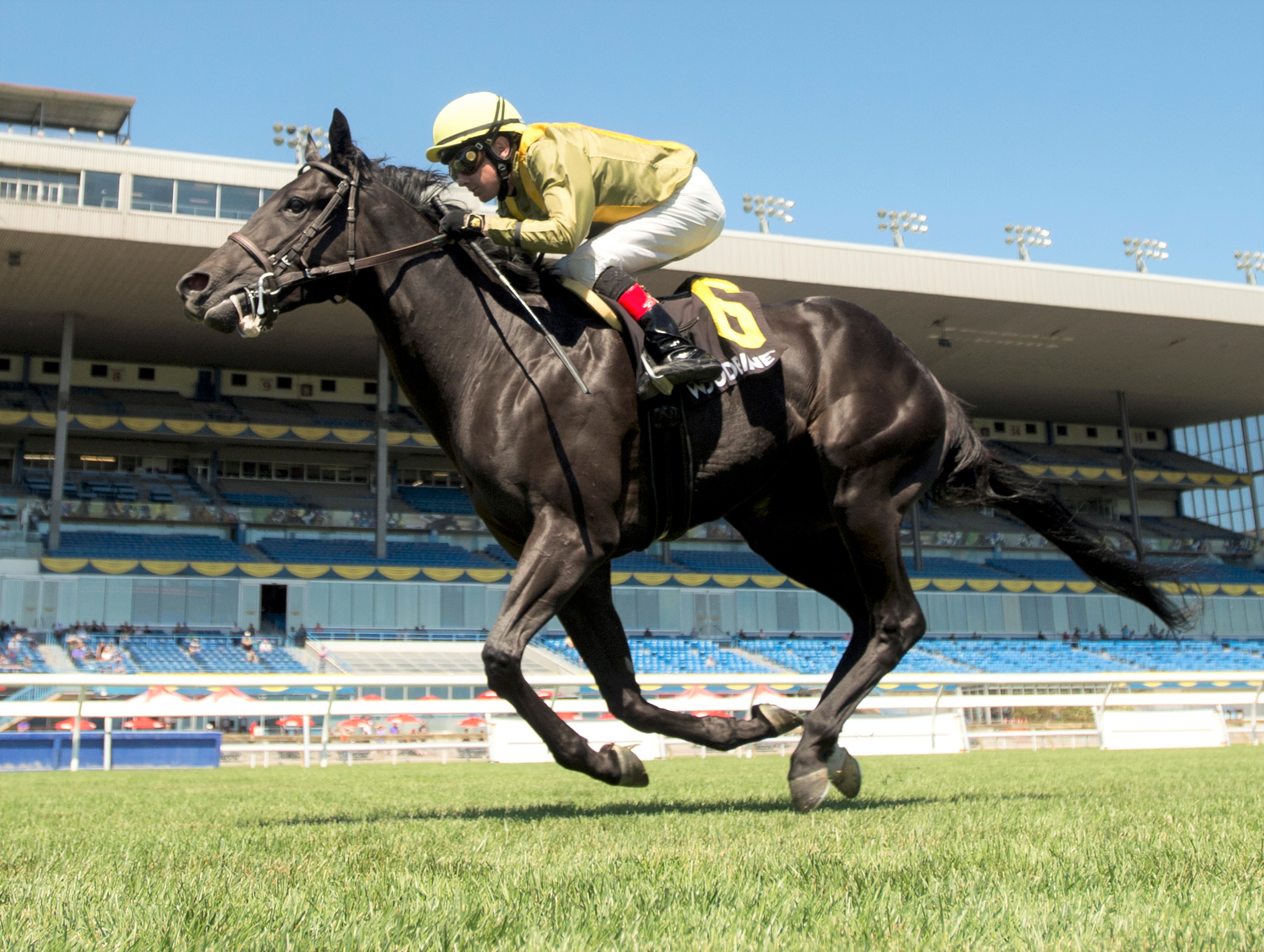 Silent Runner wins the Lake Huron at Woodbine Aug 12 2022