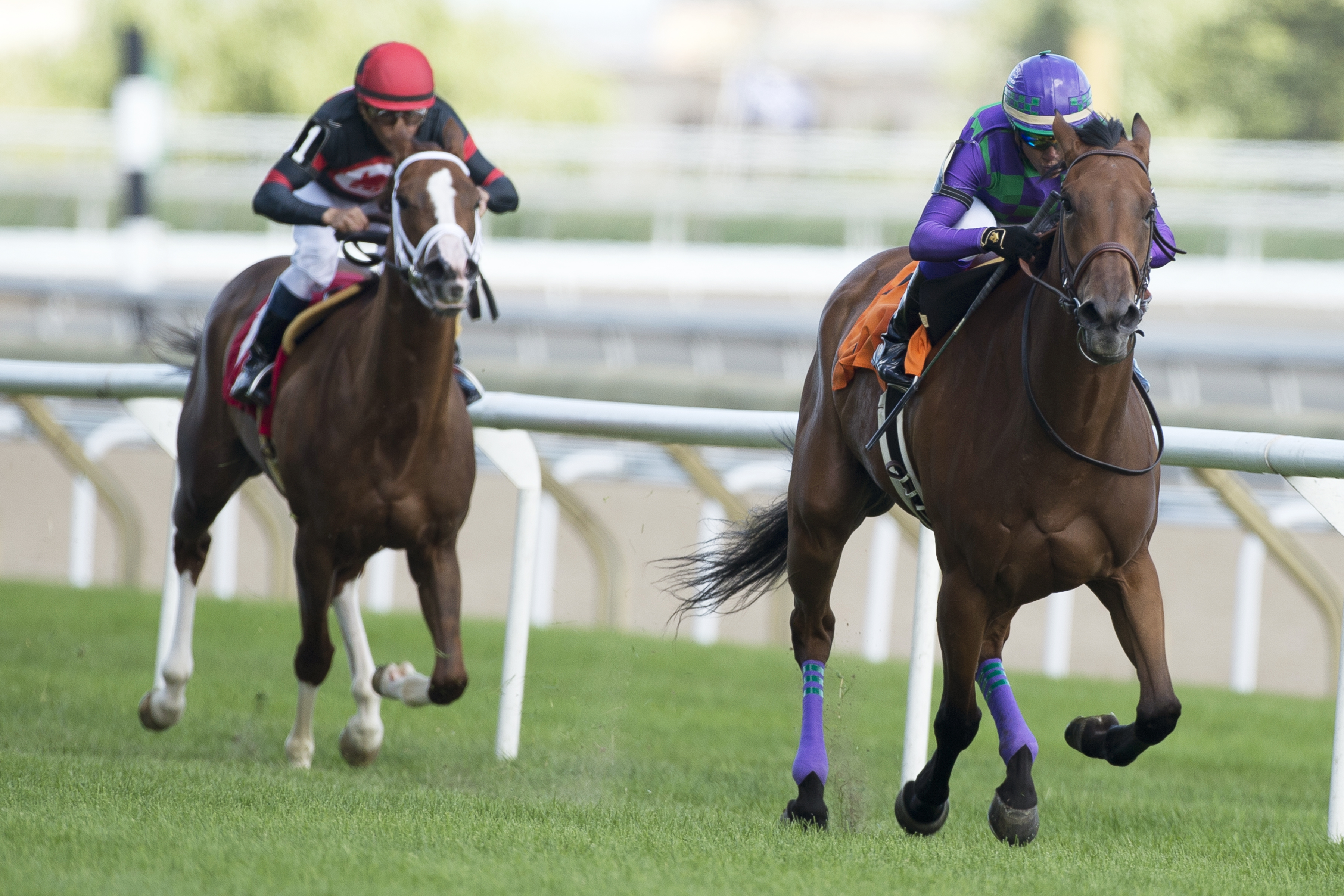 Silent Sonet wins a July 8 optional claiming race