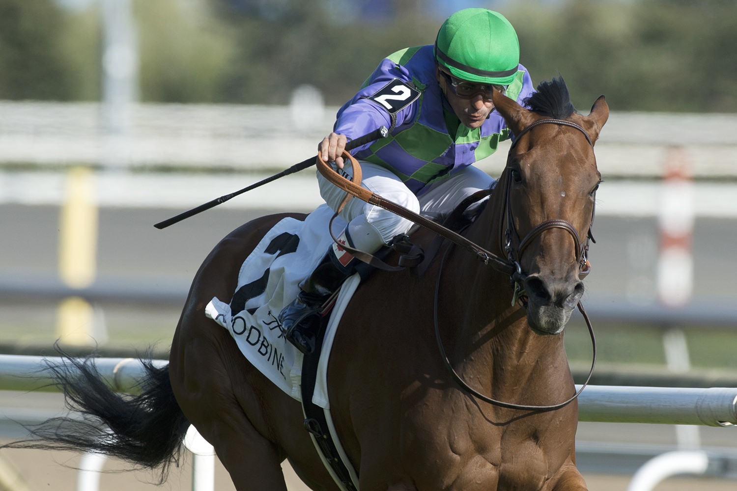 Silent Sonet wins the 2017 La Prevoyante