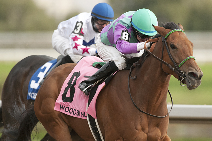 Silent Sonet wins the 2018 Ontario Fashion Stakes