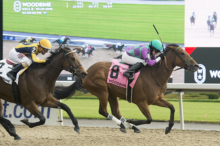 Silent Sonet wins the 2018 Ontario Fashion