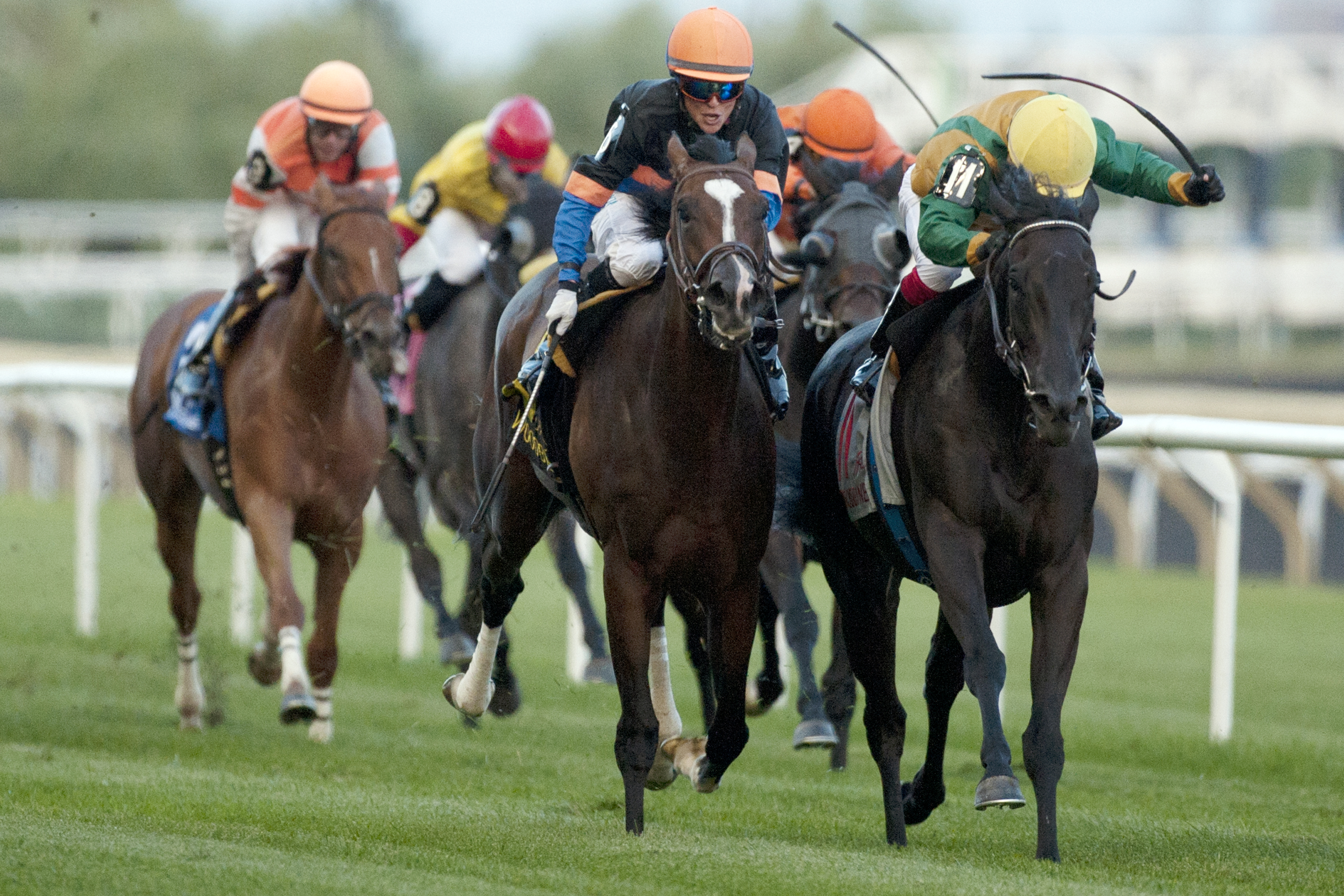 Silent Star wins the Victoriana