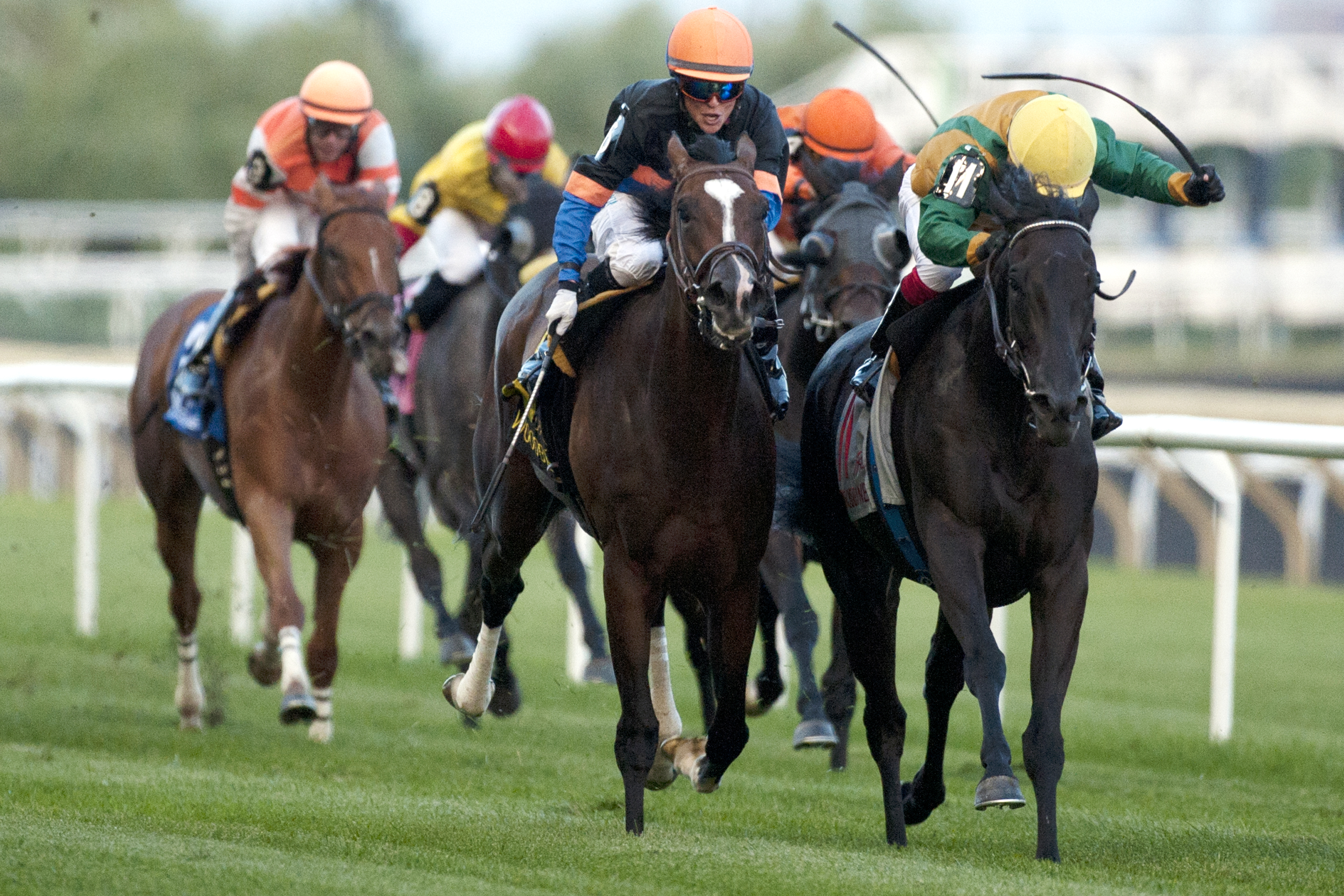 Silent Star beats Strut the Course in the Victoriana