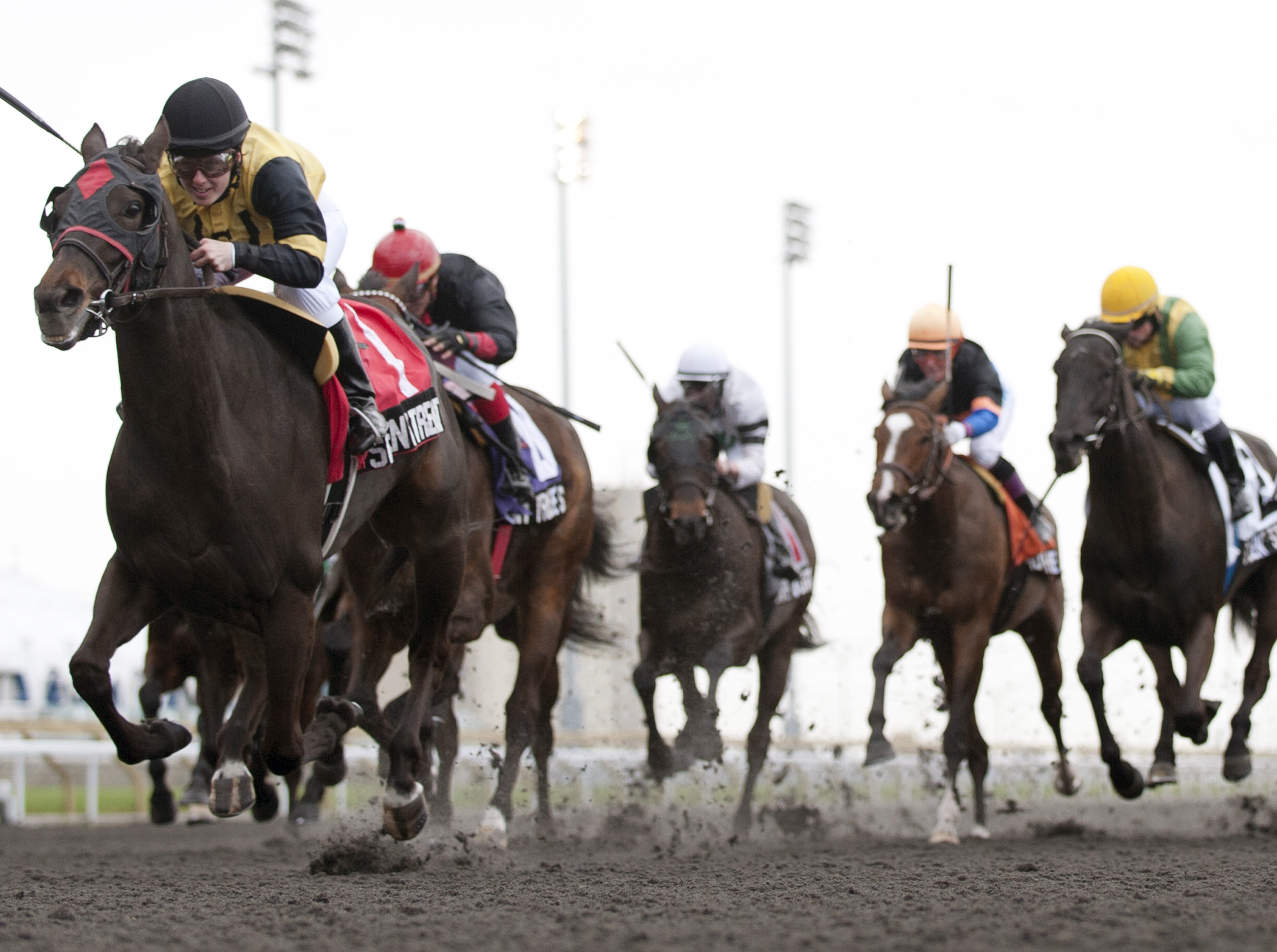 Silent Star wins the Ballade Stakes