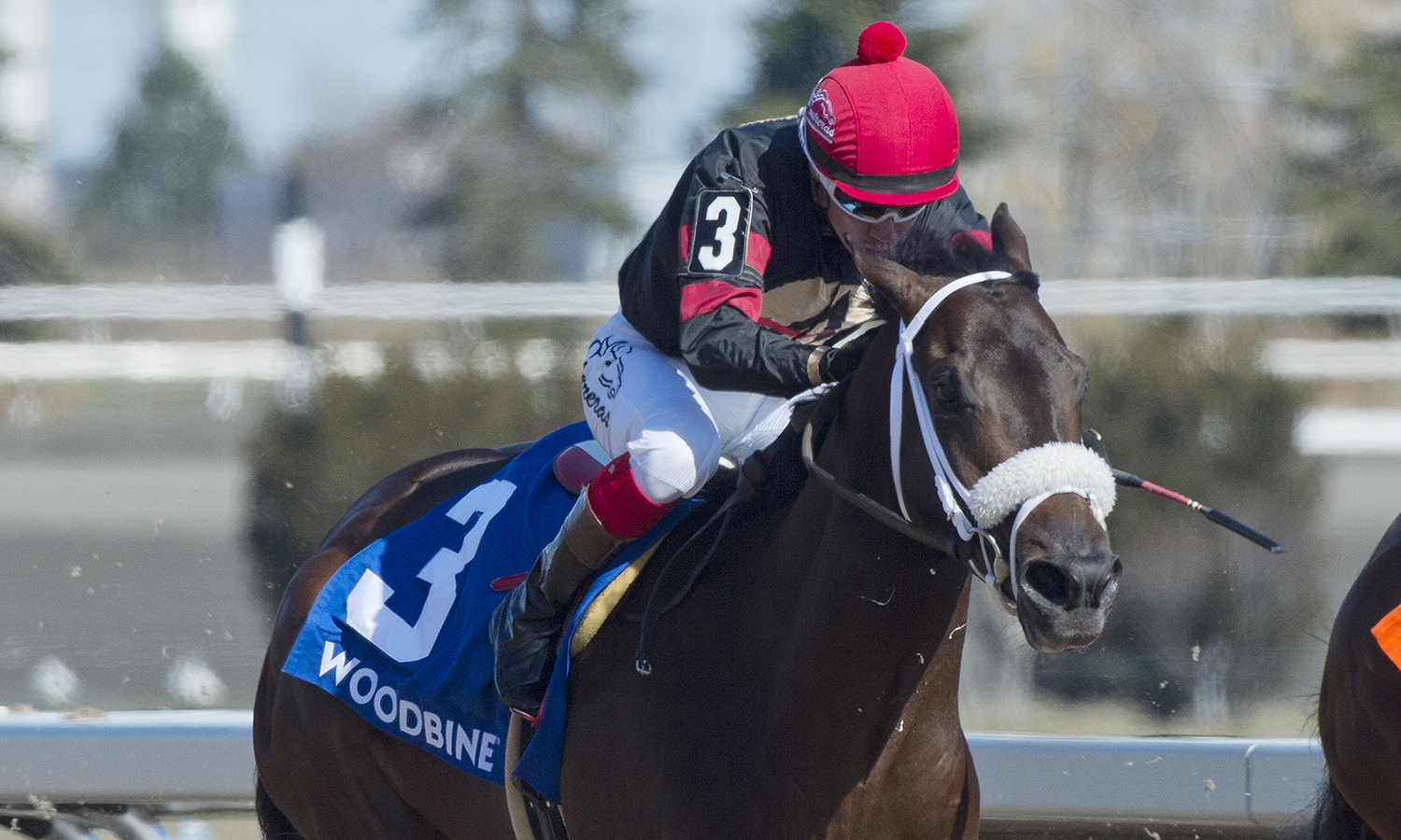 Silent Sting wins the 2018 Queenston Stakes