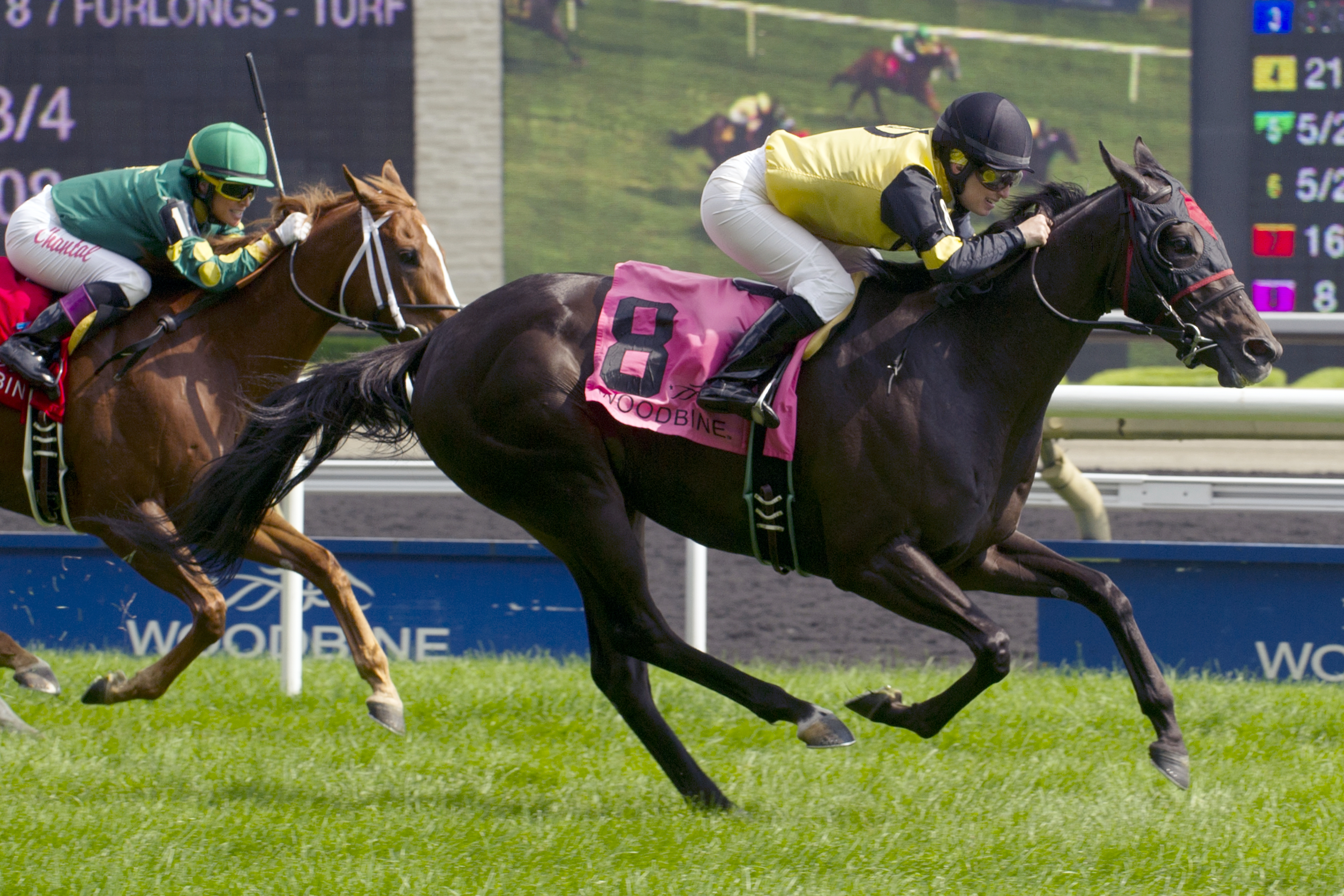 Silent Treat wins the 2014 Zadracarta Stakes