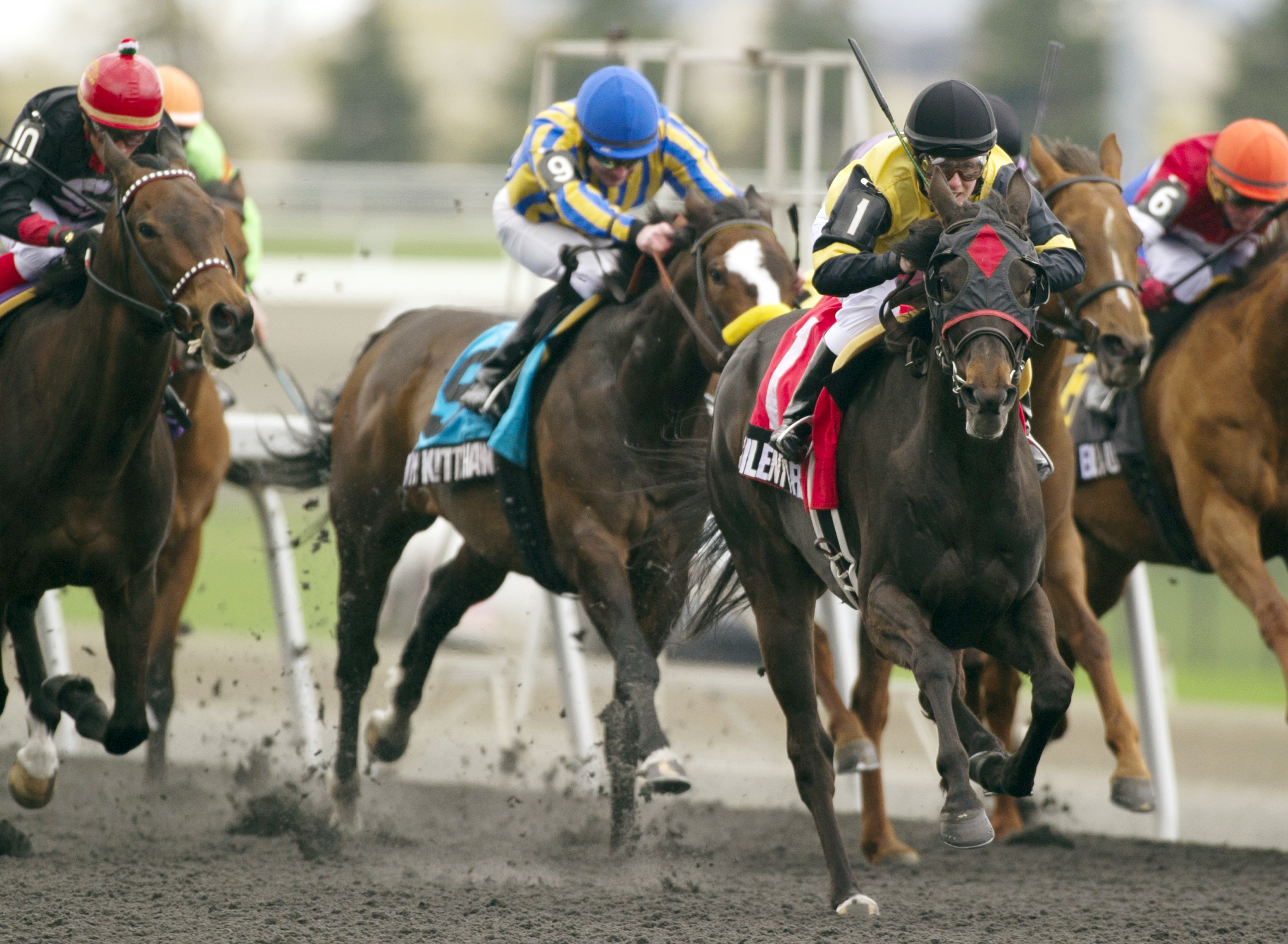 Silent Treat wins the Ballade