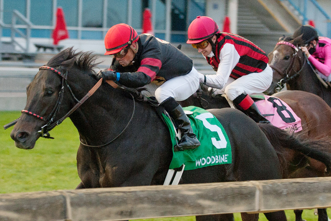 Silent Poet wins the 2020 Nearctic Stakes at Woodbine