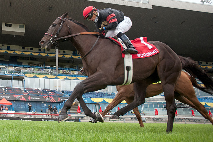Silent Poet wins the 2020 Connaught Cup at Woodbine