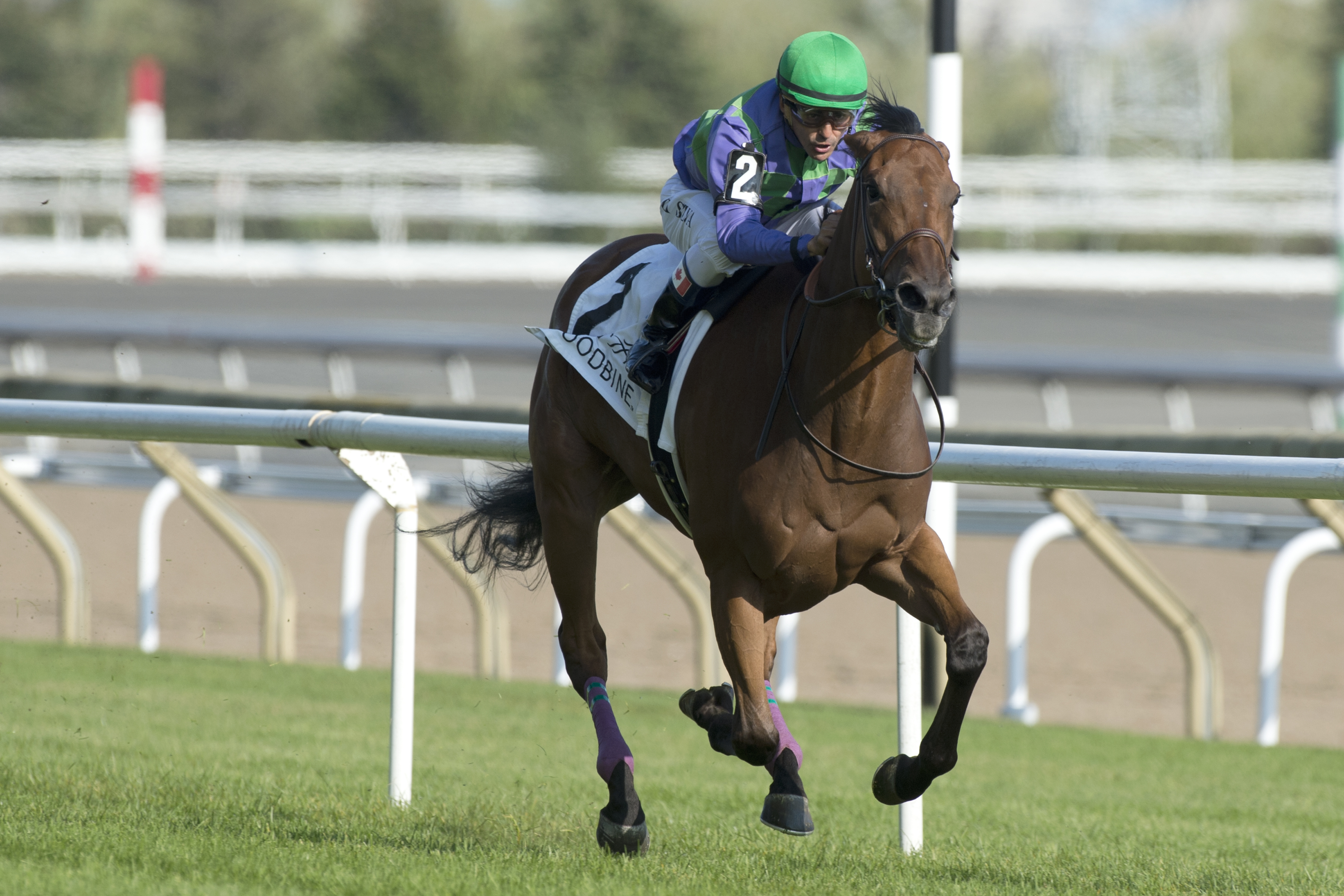 Silent Sonet wins the 2017 La Prevoyante Stakes at Woodbine