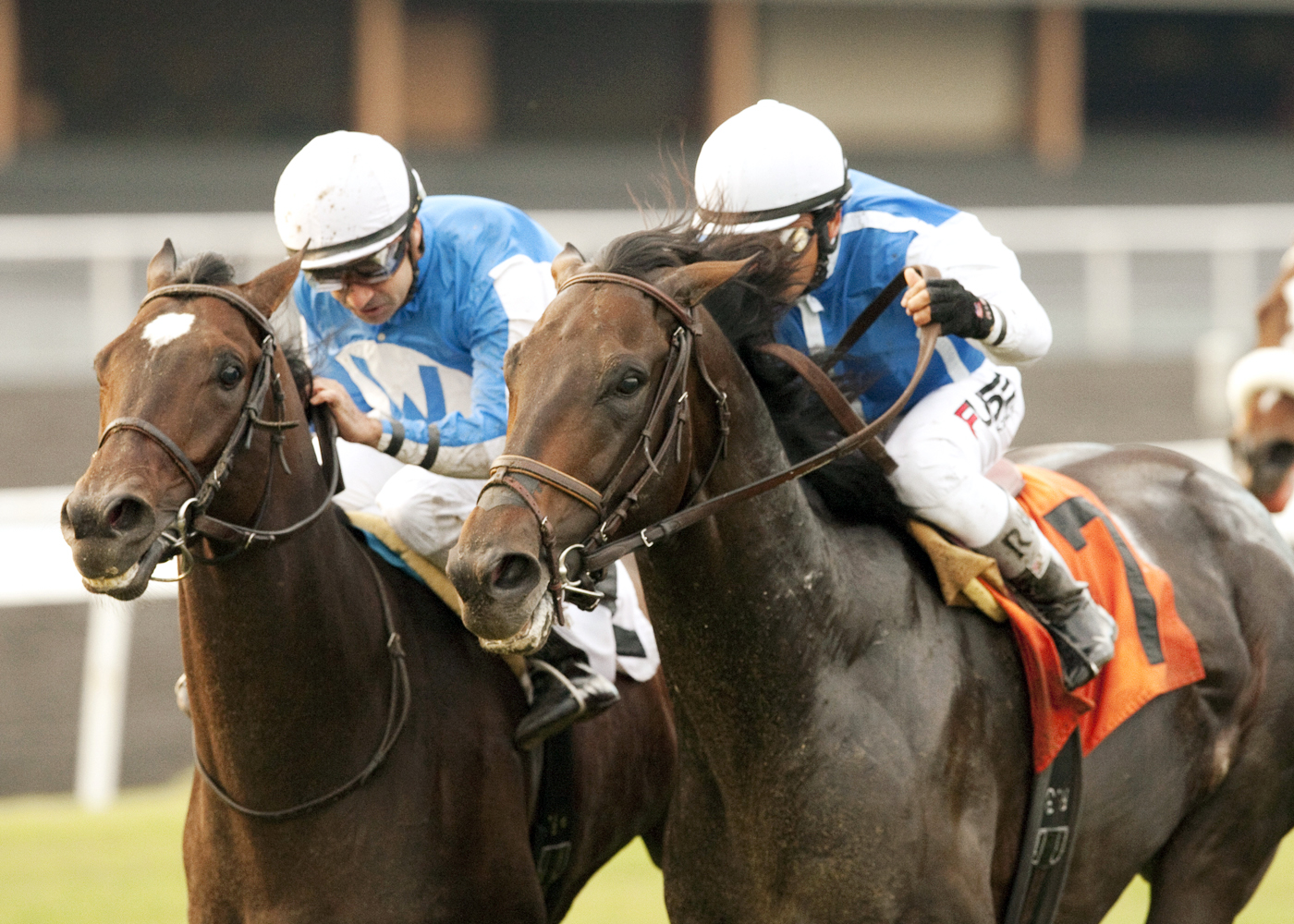 Silentio wins the Citation Handicap