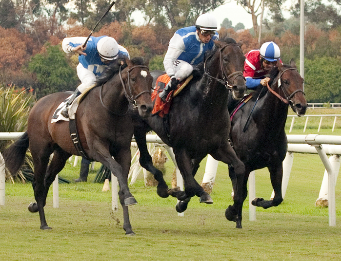 Silentio wins the Citation Handicap