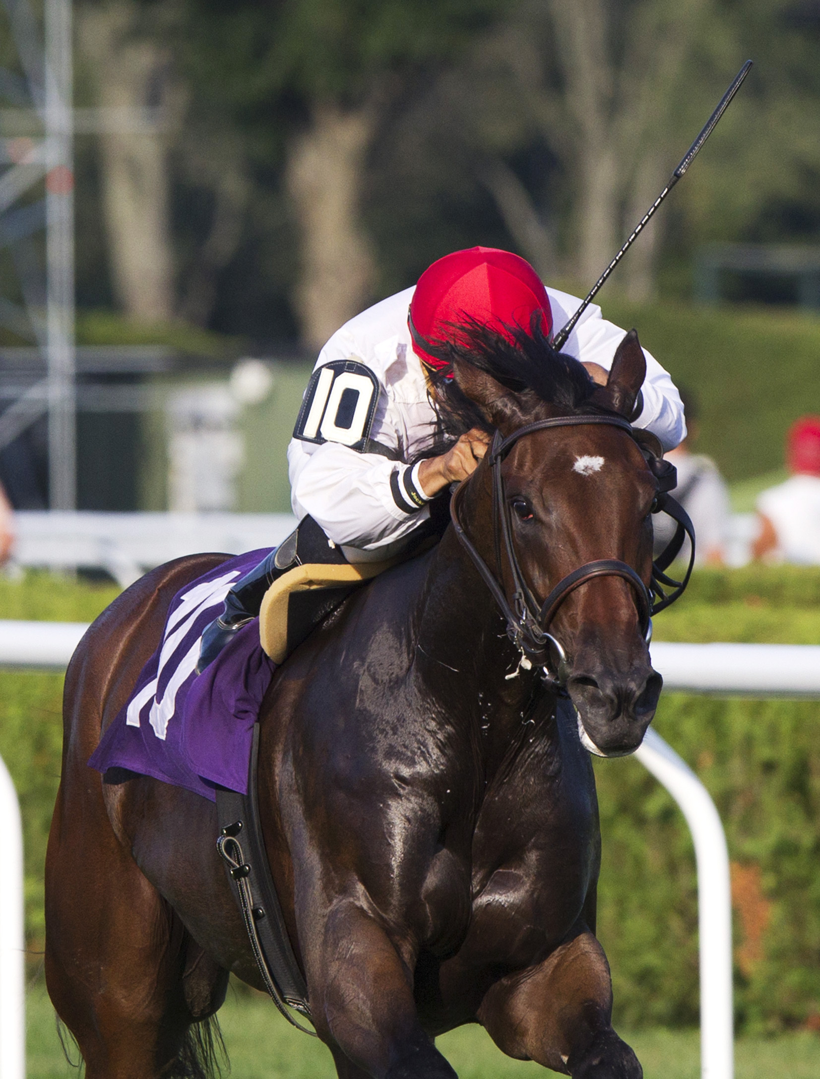 Silky Girl wins a maiden race
