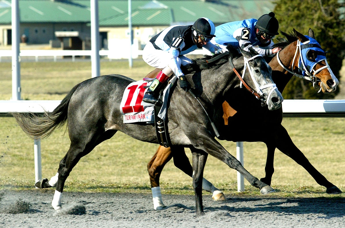 Silsita (outside) noses out Marathon Lady, Bourbonette
