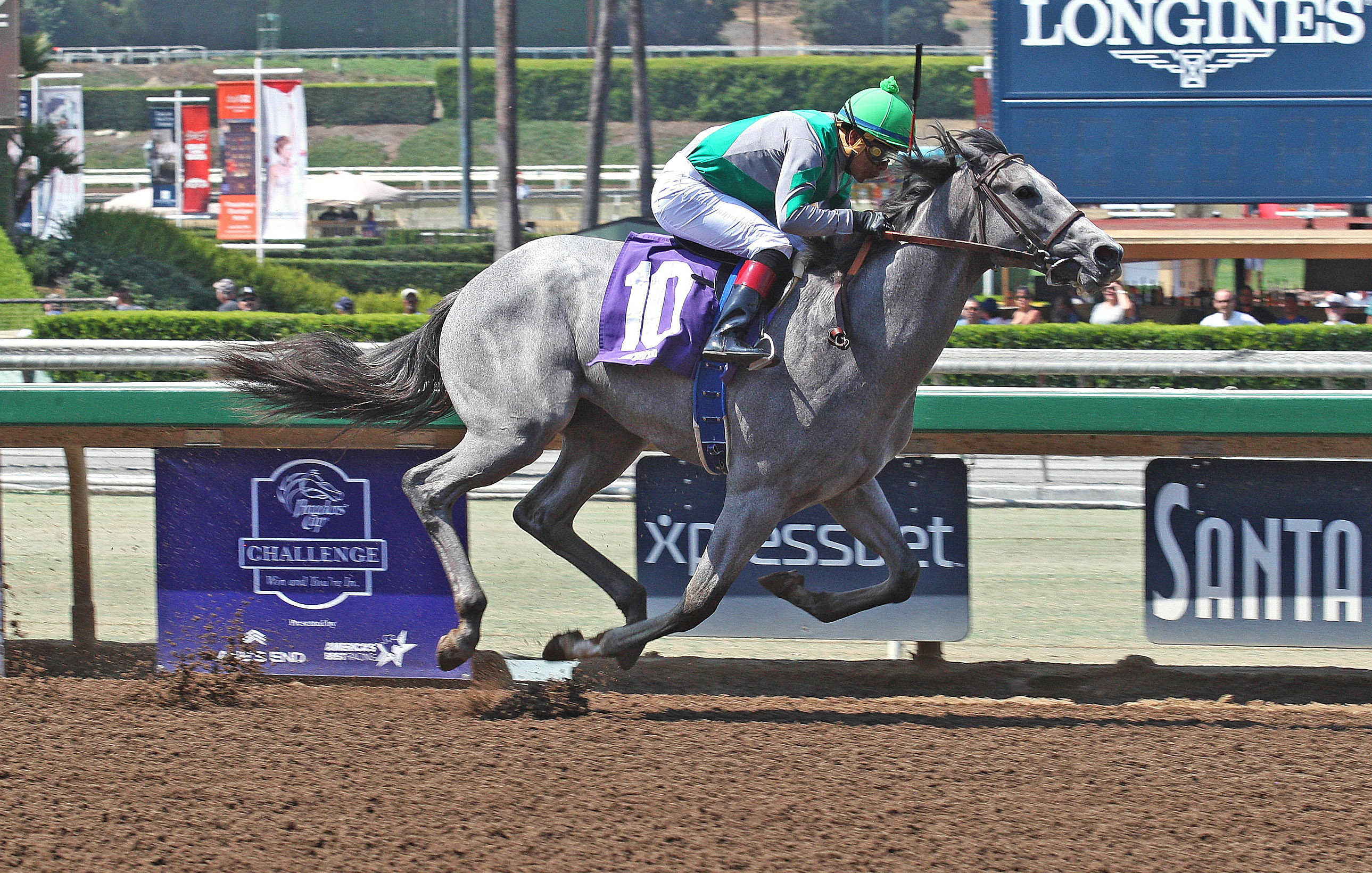 Silver Assault wins a June 25 maiden race