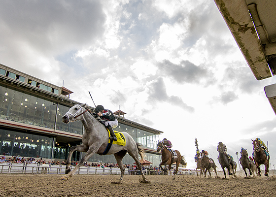 Silver Dust wins 2019 Mineshaft
