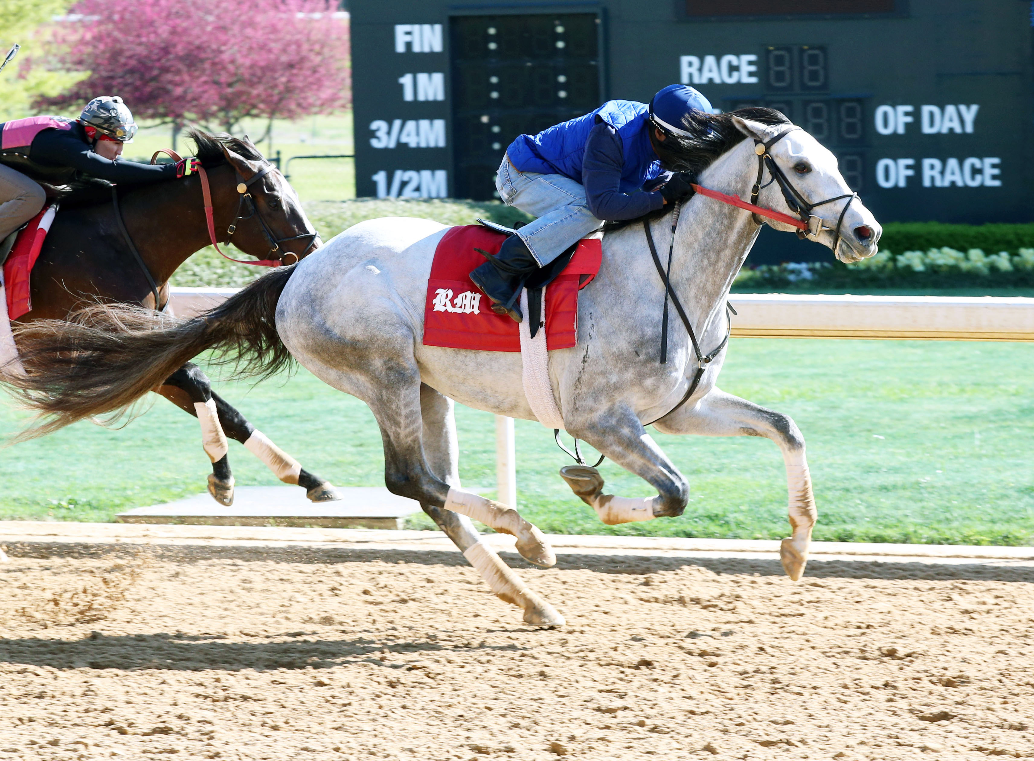 Silver Dust trains at Oaklawn on March 10