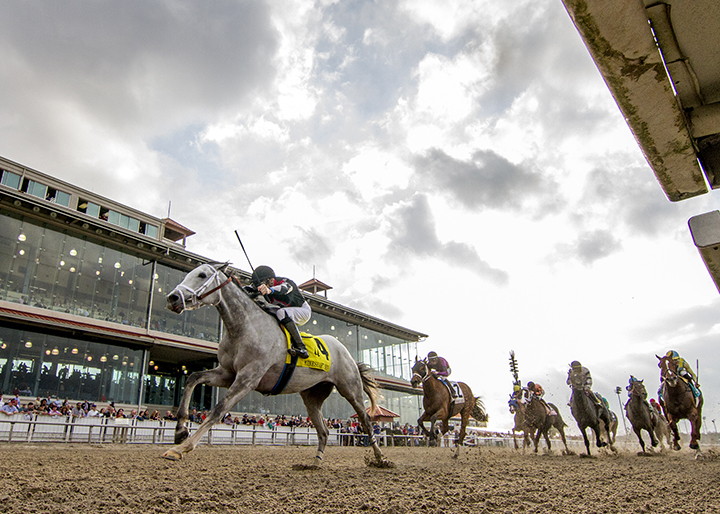 Silver Dust wins the Mineshaft Handicap